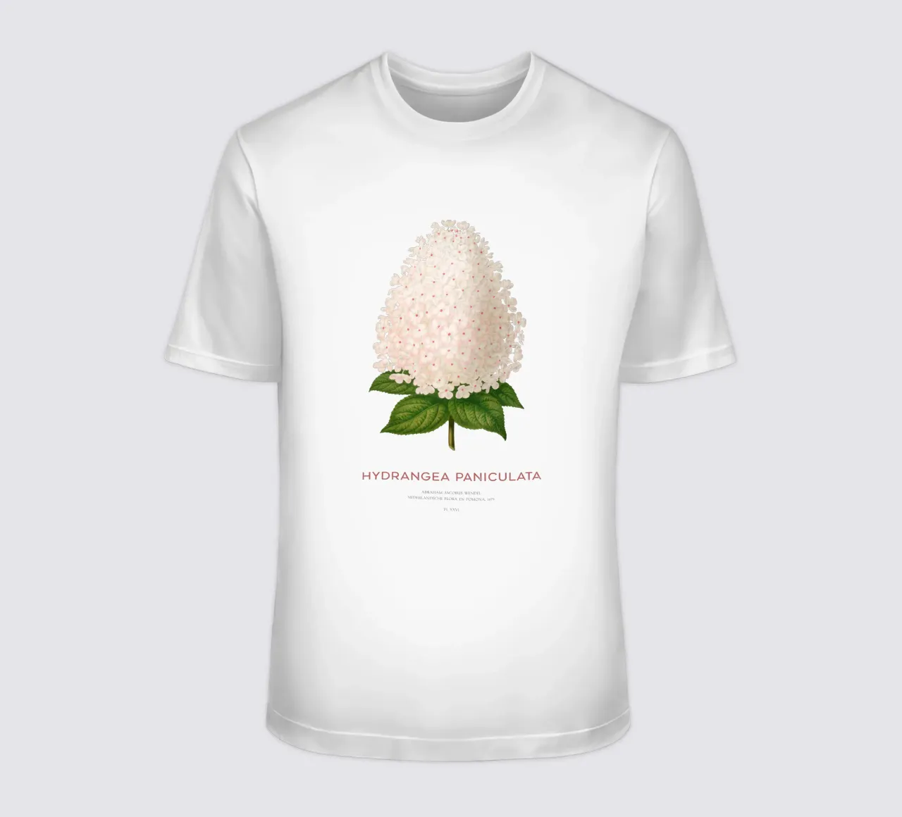 Panicled hydrangea or Hydrangea paniculata t-shirt da Vintagrafica