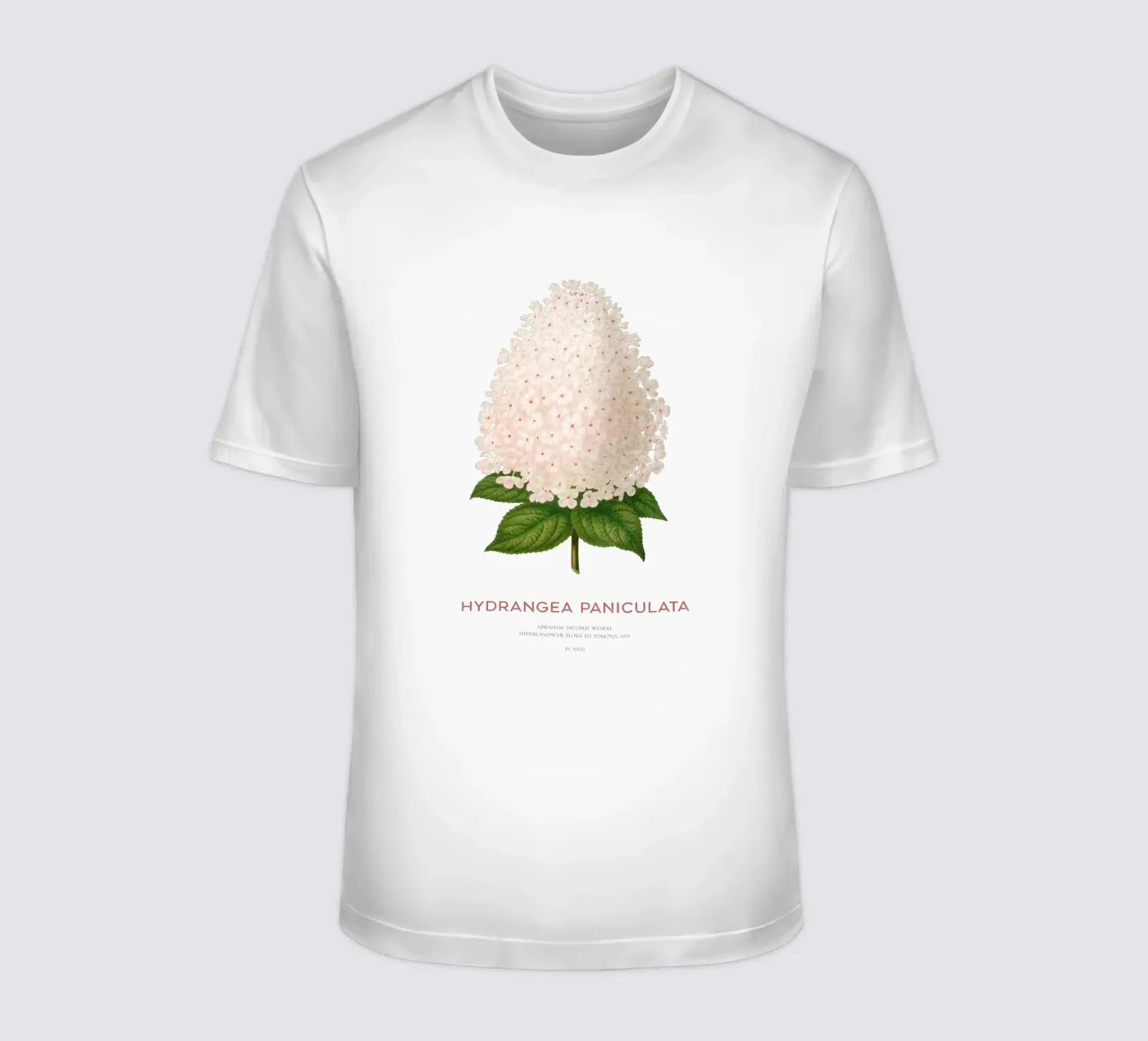 Ortensia paniculata o Hydrangea paniculata t-shirt da Vintagrafica