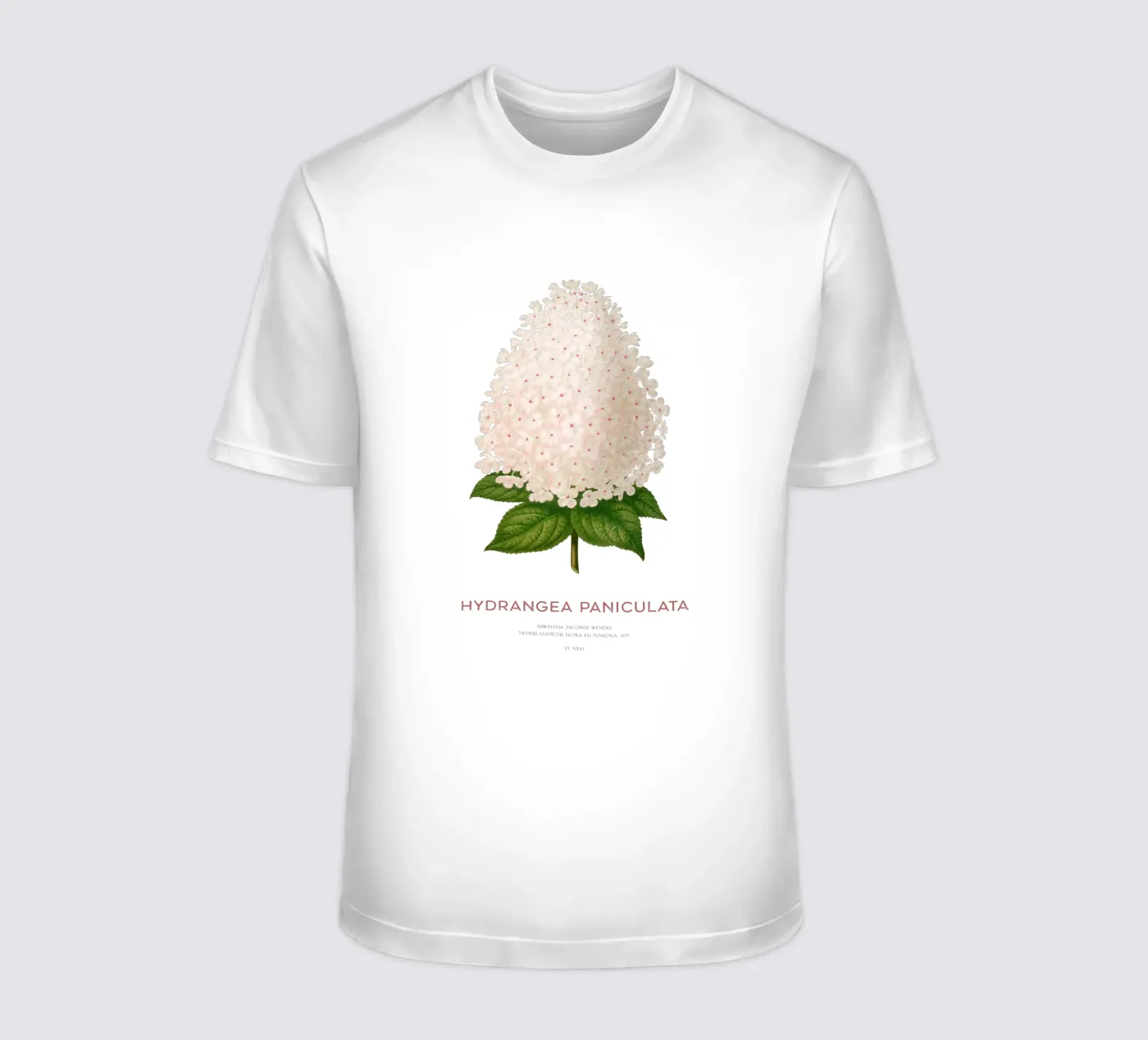 Panicled hydrangea or Hydrangea paniculata t-shirt da Vintagrafica