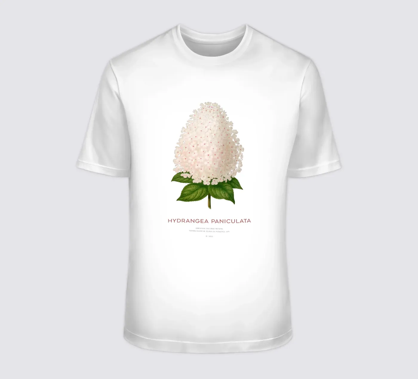 Ortensia paniculata o Hydrangea paniculata t-shirt da Vintagrafica