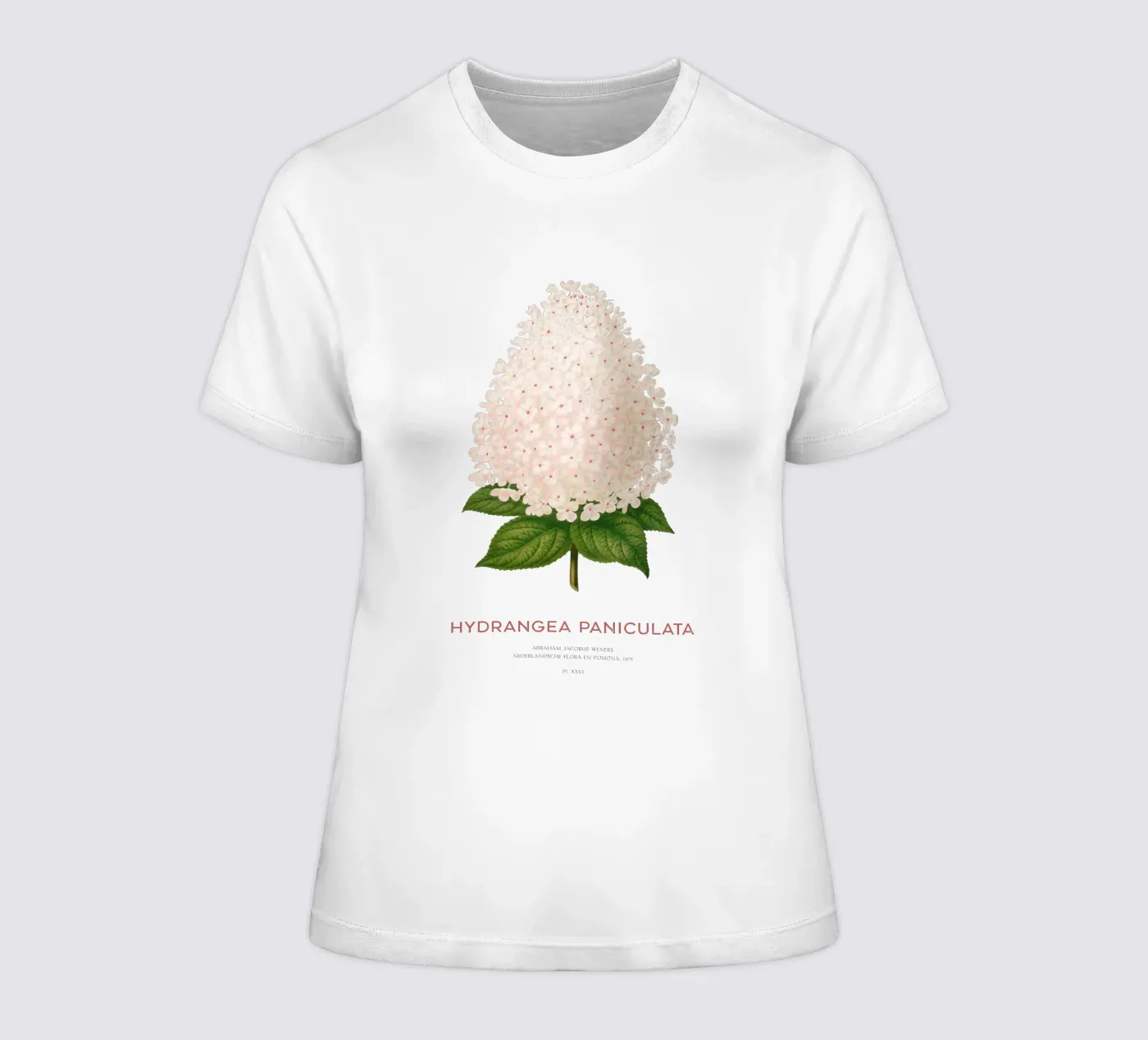 Ortensia paniculata o Hydrangea paniculata t-shirt da donna da Vintagrafica