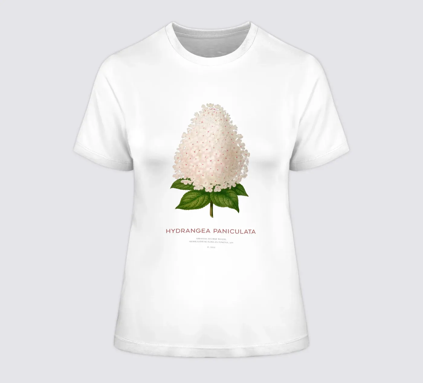 Ortensia paniculata o Hydrangea paniculata t-shirt da donna da Vintagrafica