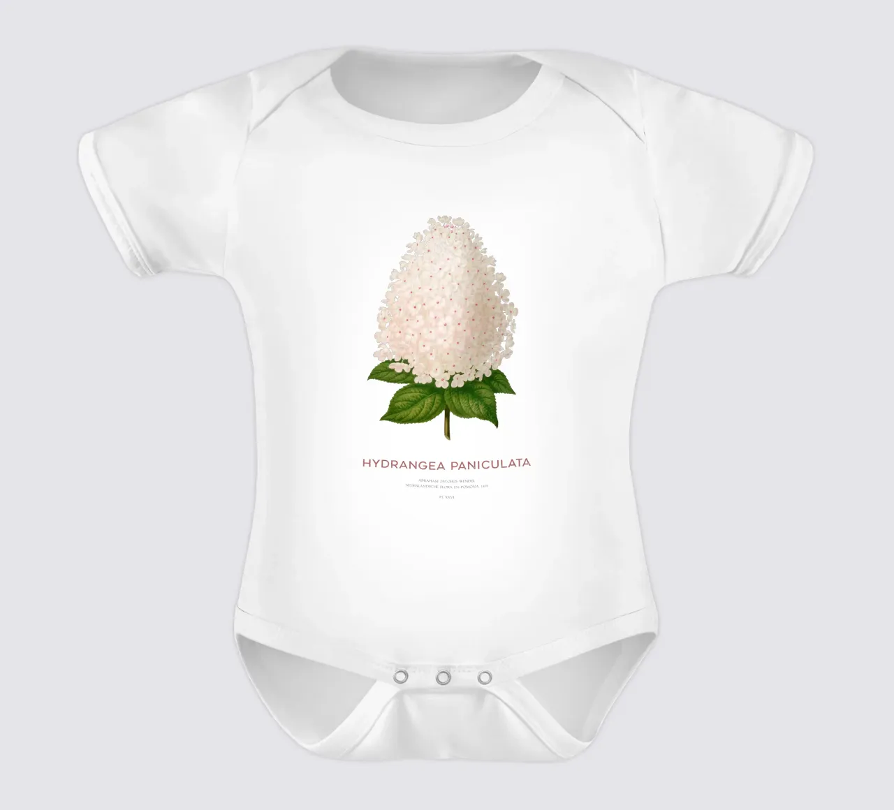 Ortensia paniculata o Hydrangea paniculata body neonato maniche corte da Vintagrafica