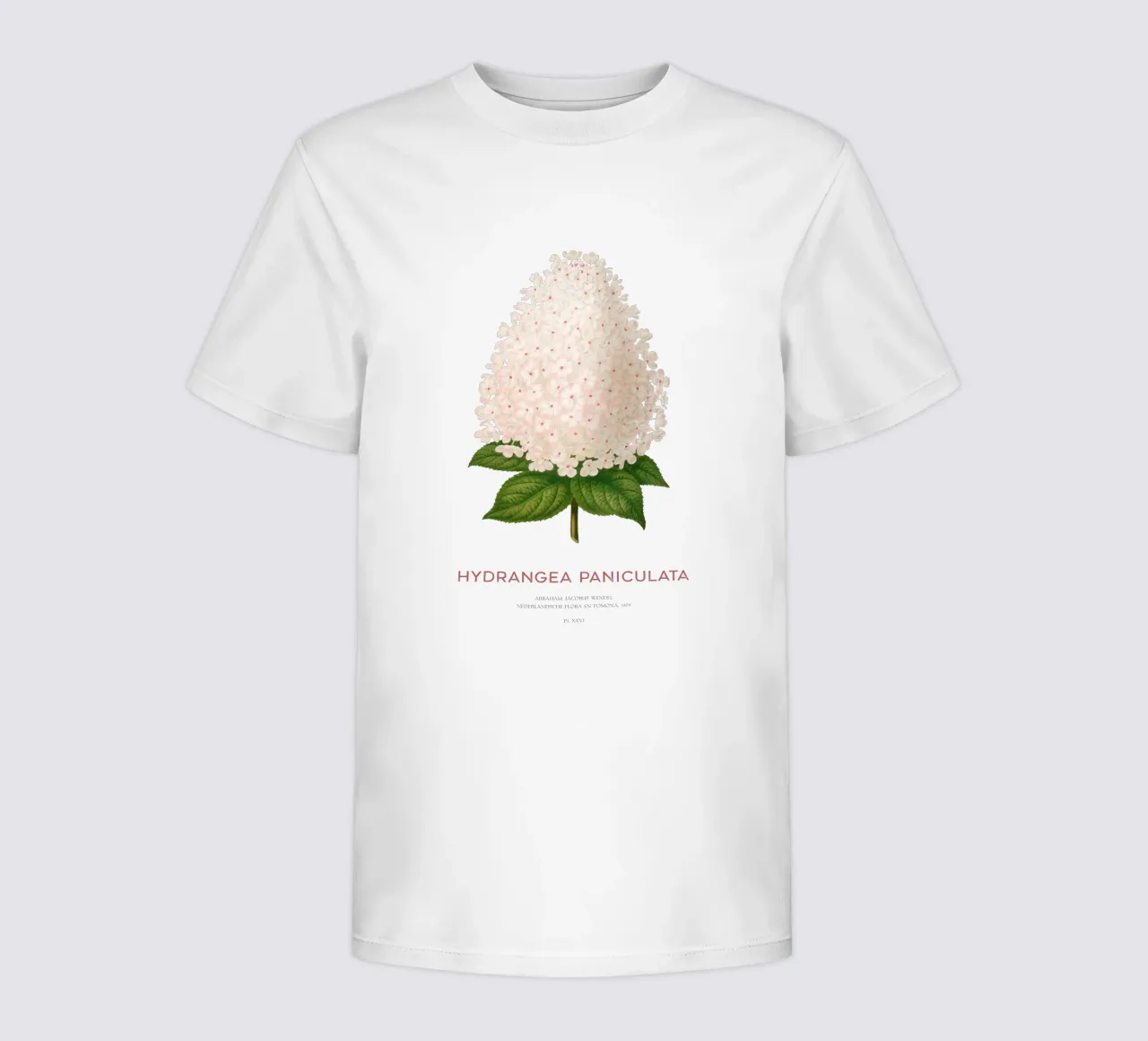 Panicled hydrangea or Hydrangea paniculata kids t-shirt by Vintagrafica