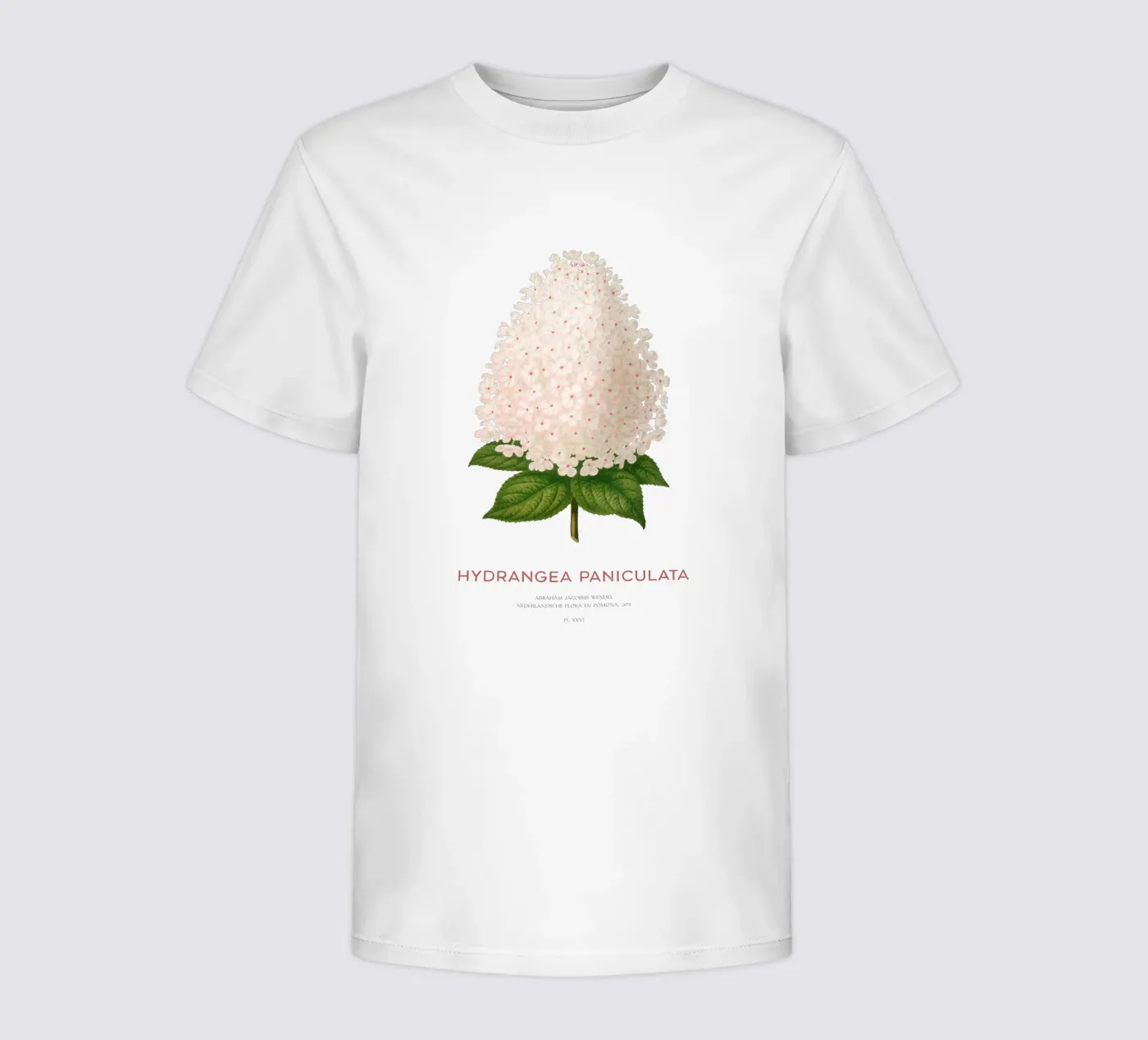 Ortensia paniculata o Hydrangea paniculata t-shirt bambini da Vintagrafica