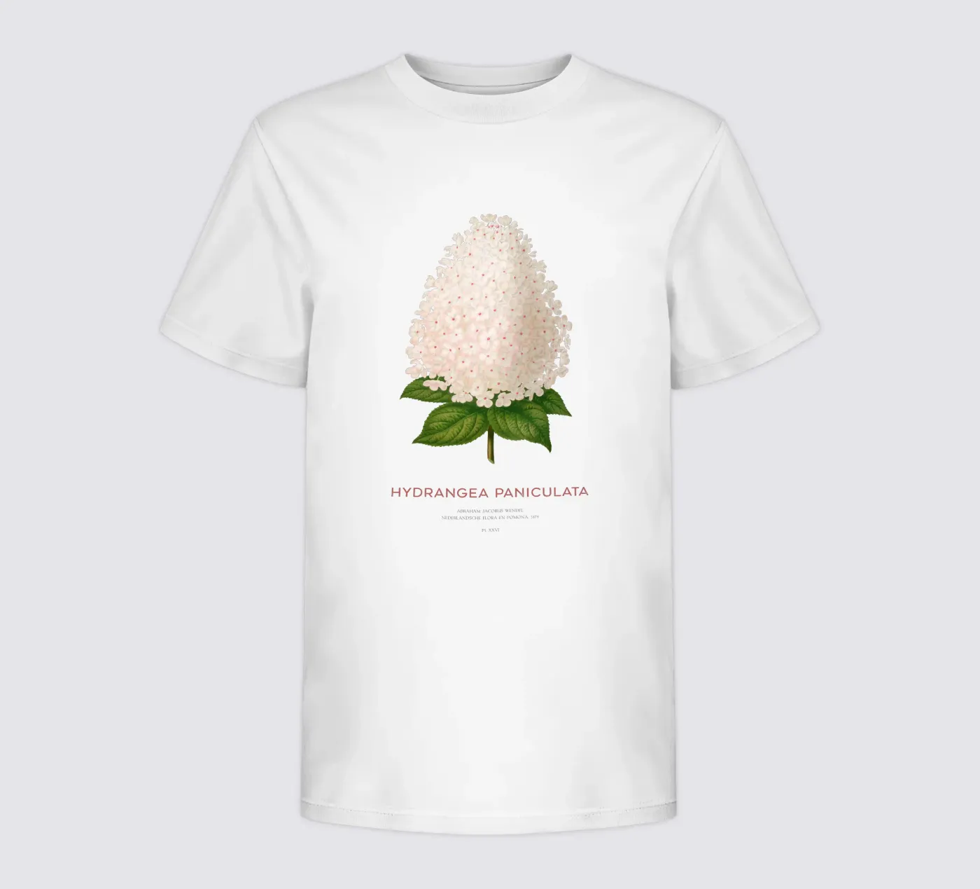 Panicled hydrangea or Hydrangea paniculata kids t-shirt by Vintagrafica