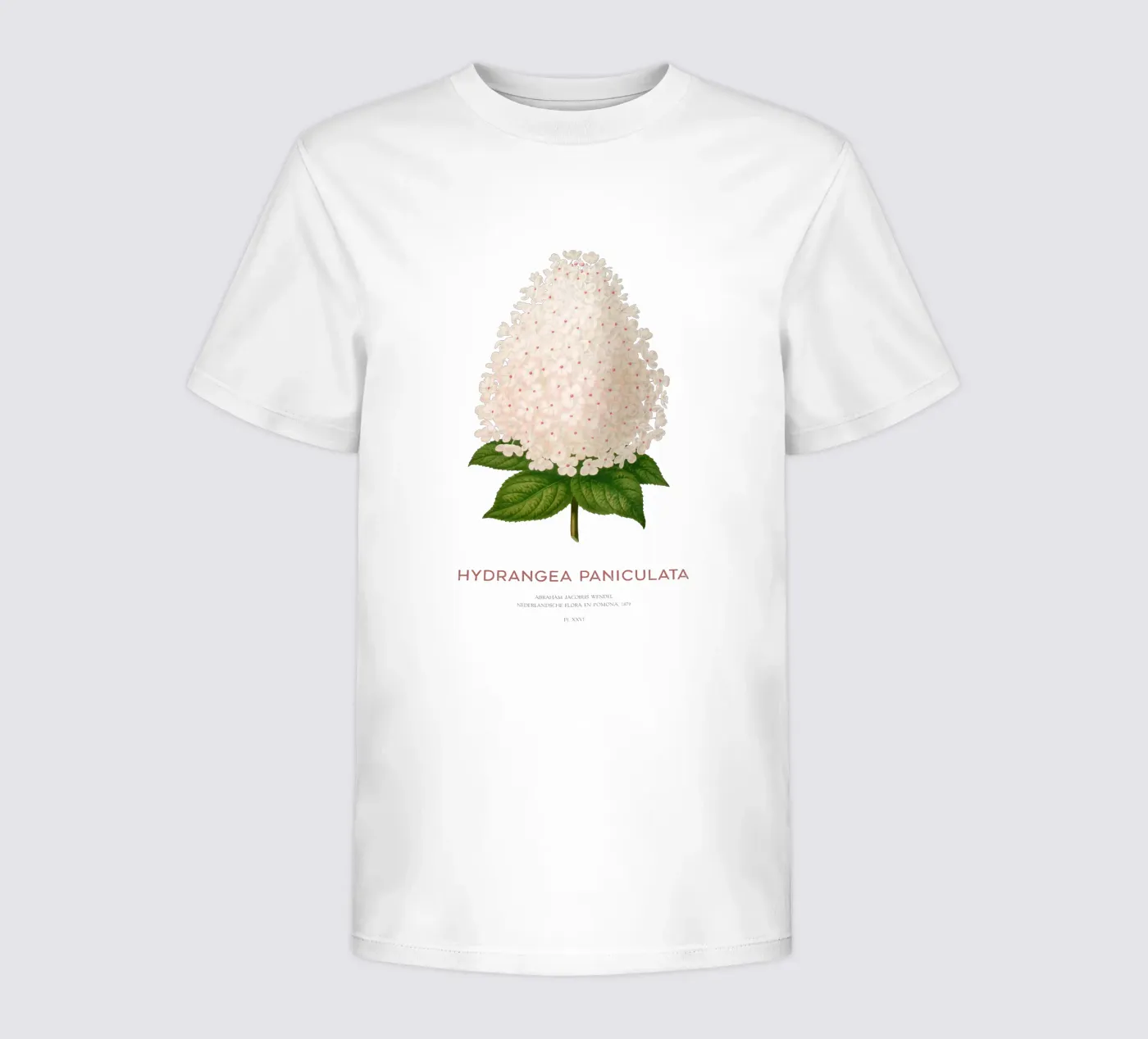 Ortensia paniculata o Hydrangea paniculata t-shirt bambini da Vintagrafica