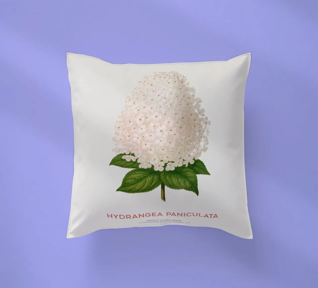 Ortensia paniculata o Hydrangea paniculata cuscino da Vintagrafica