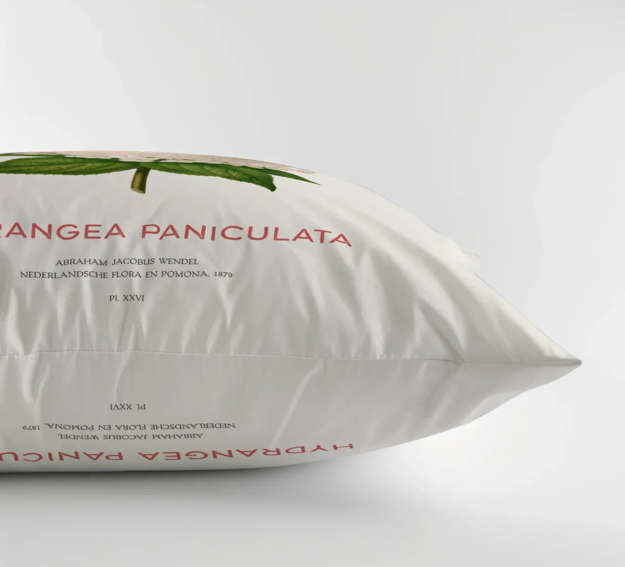 Ortensia paniculata o Hydrangea paniculata cuscino da Vintagrafica