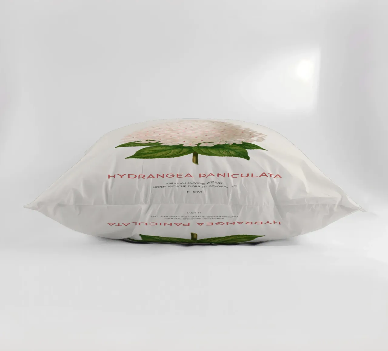 Ortensia paniculata o Hydrangea paniculata cuscino da Vintagrafica