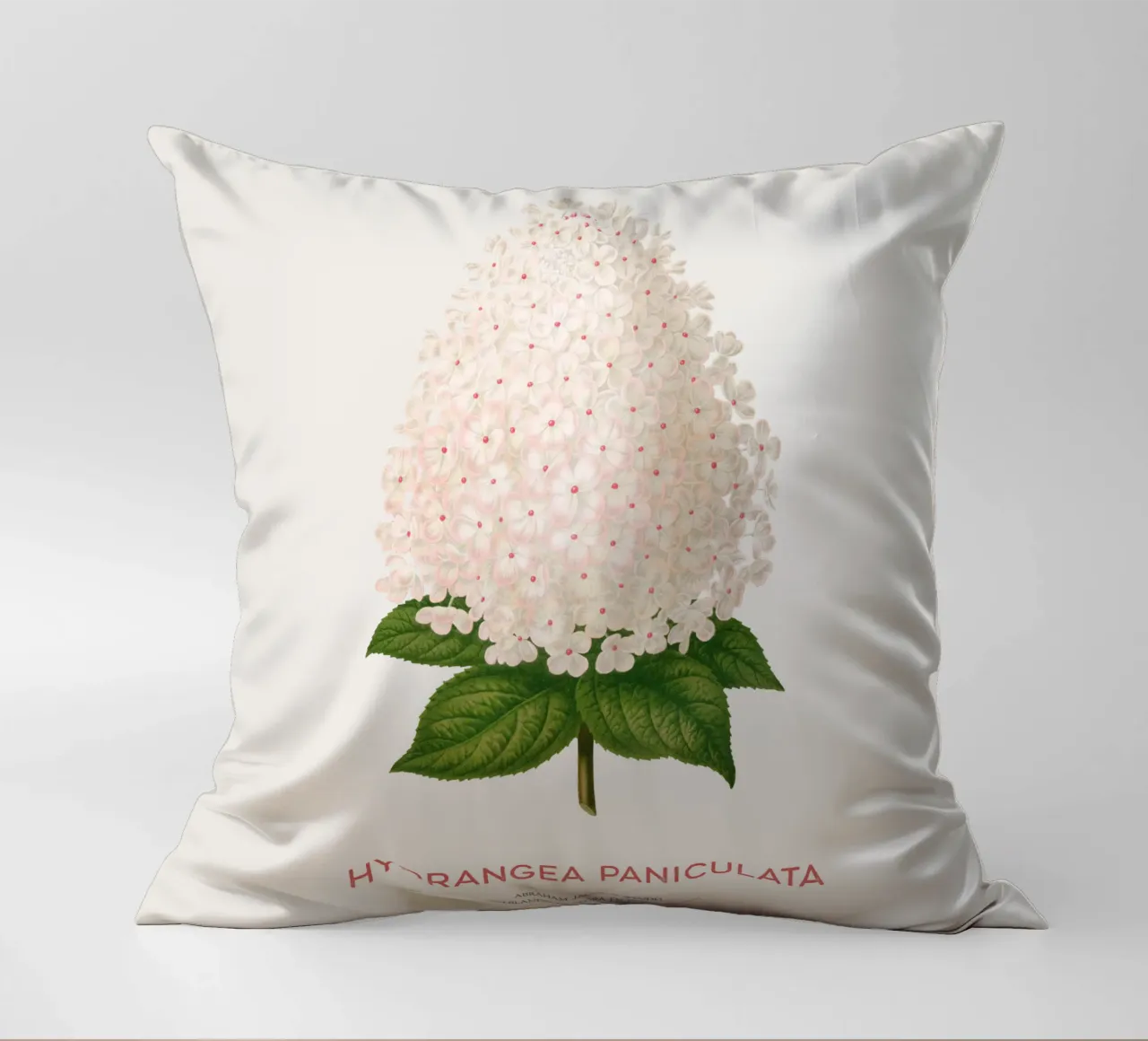 Ortensia paniculata o Hydrangea paniculata cuscino da Vintagrafica