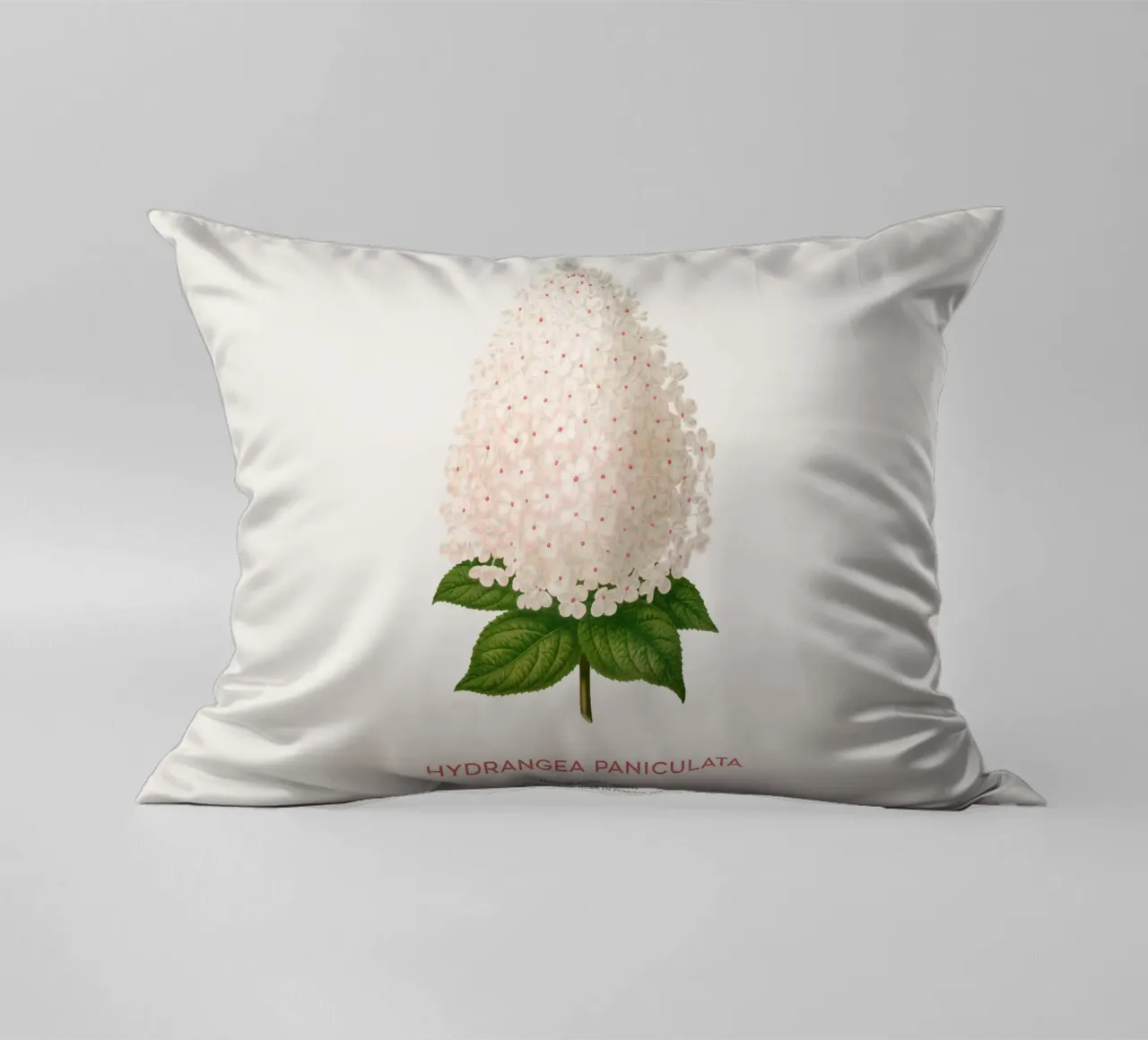 Ortensia paniculata o Hydrangea paniculata cuscino da Vintagrafica