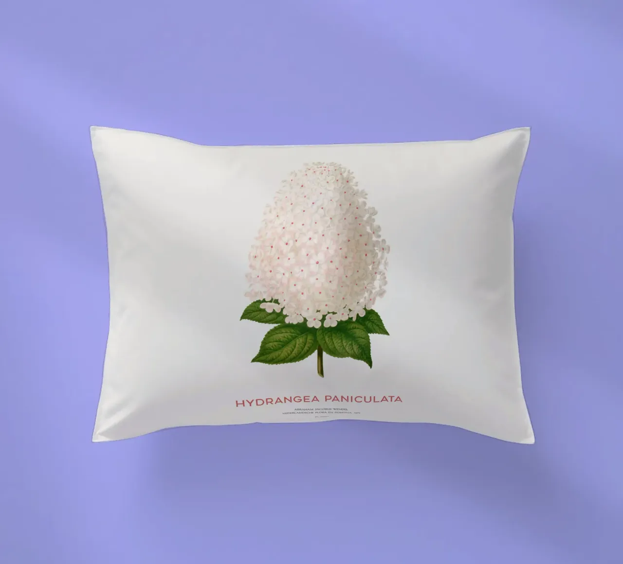 Ortensia paniculata o Hydrangea paniculata cuscino da Vintagrafica