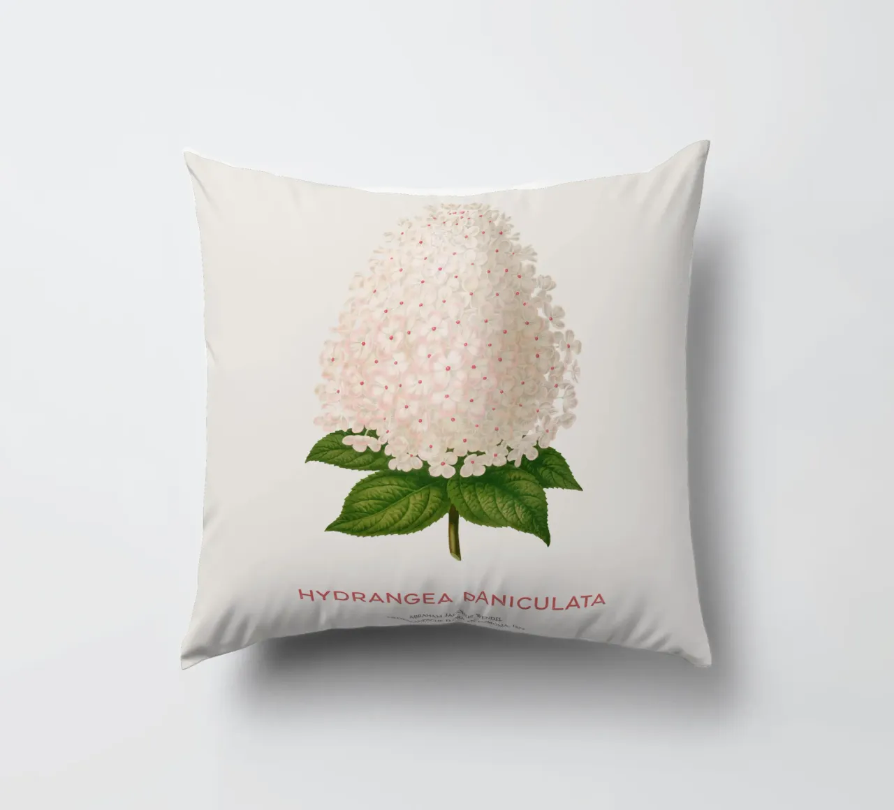 Ortensia paniculata o Hydrangea paniculata cuscino da Vintagrafica