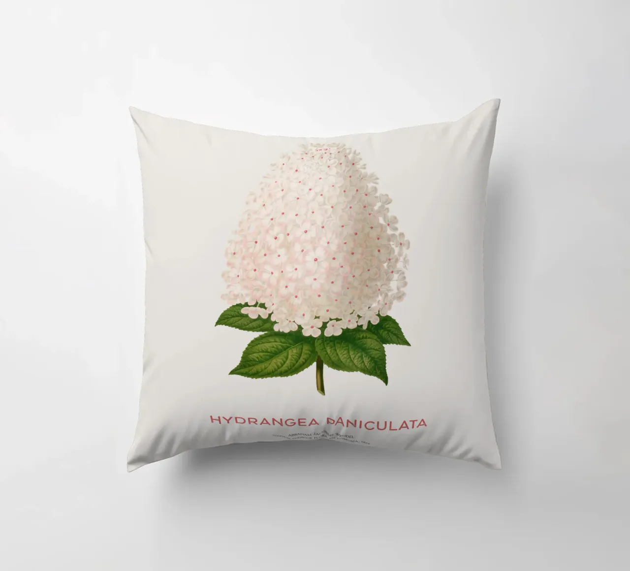 Ortensia paniculata o Hydrangea paniculata cuscino da Vintagrafica