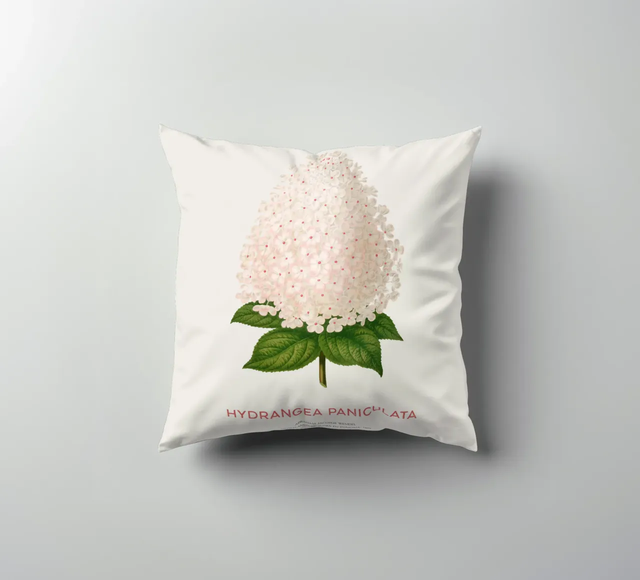 Ortensia paniculata o Hydrangea paniculata cuscino da Vintagrafica