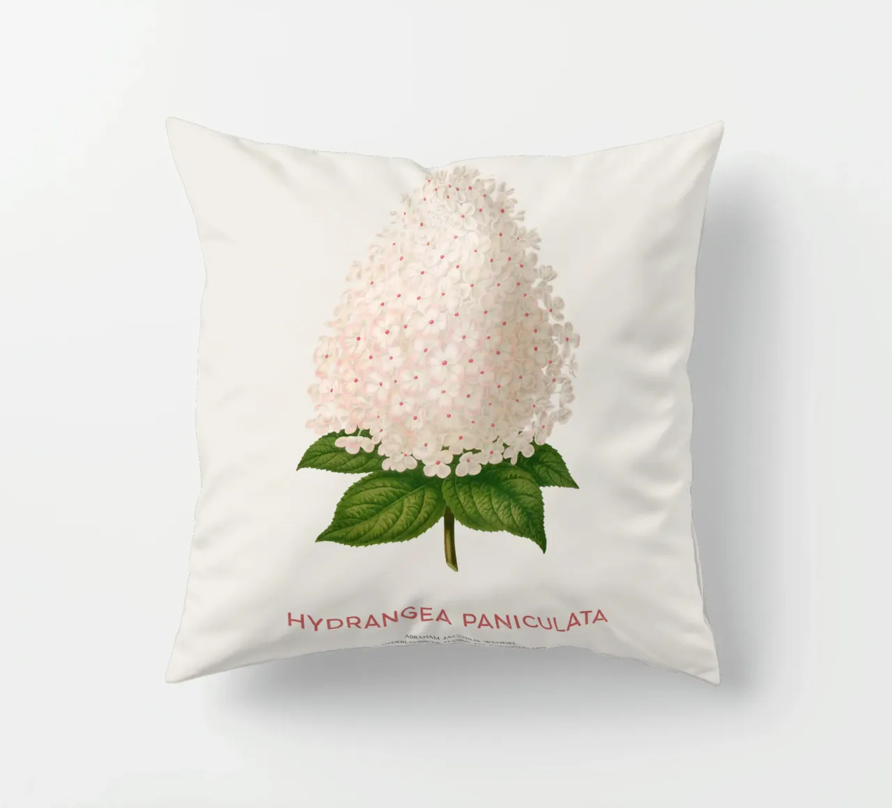 Ortensia paniculata o Hydrangea paniculata cuscino da Vintagrafica