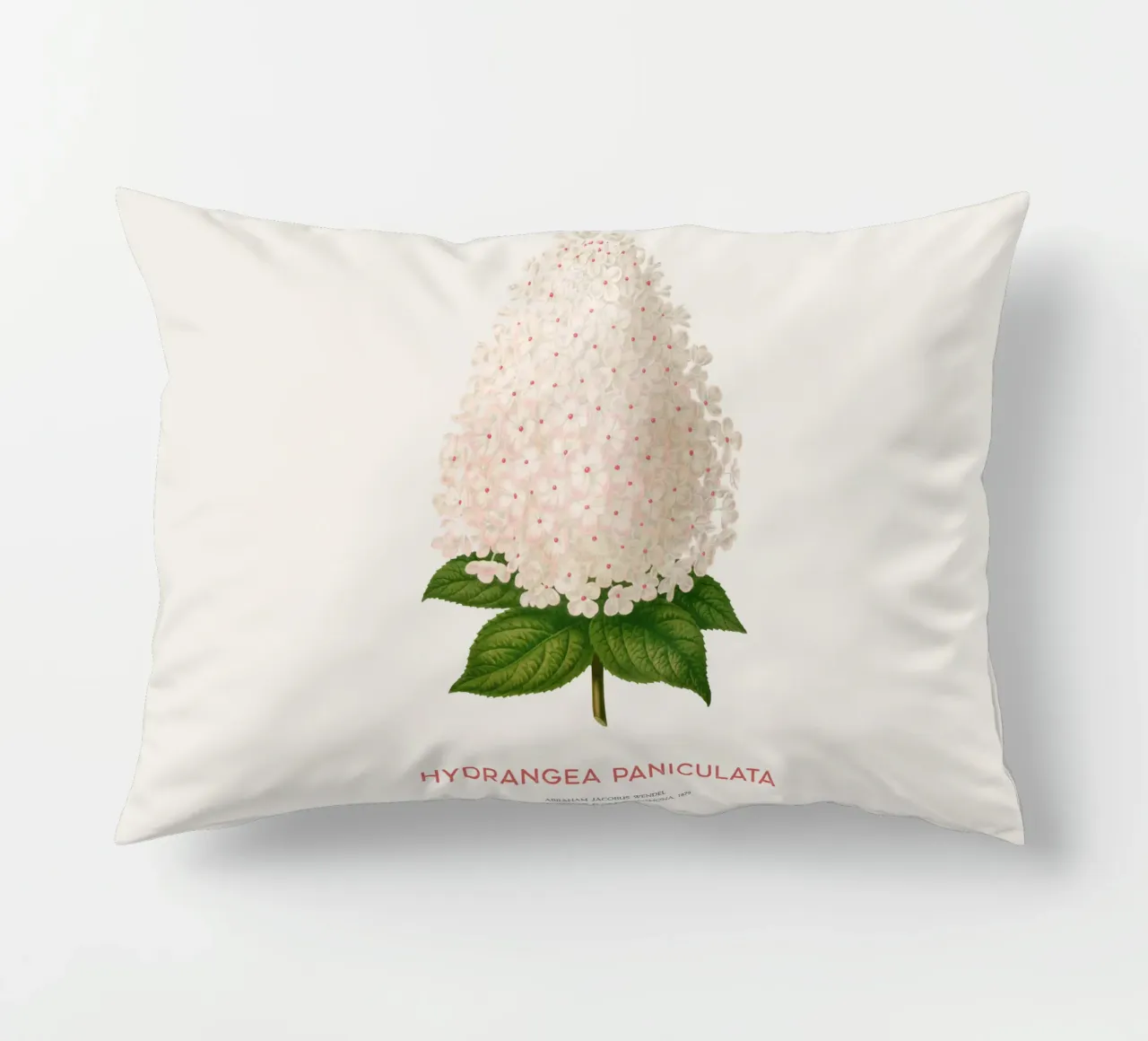 Ortensia paniculata o Hydrangea paniculata cuscino da Vintagrafica