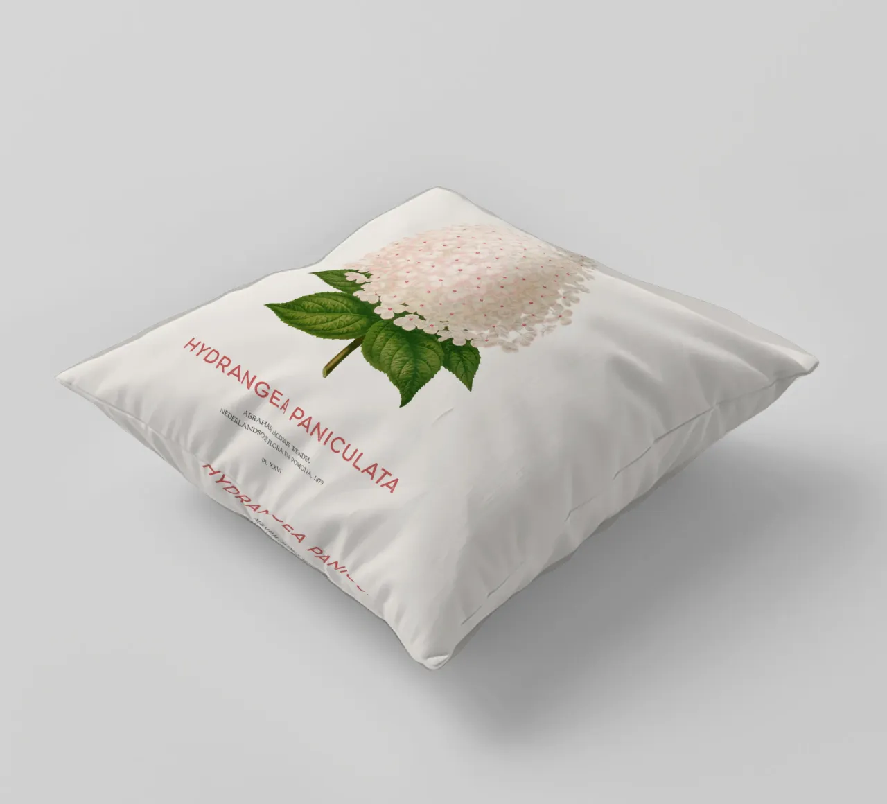 Ortensia paniculata o Hydrangea paniculata cuscino da Vintagrafica