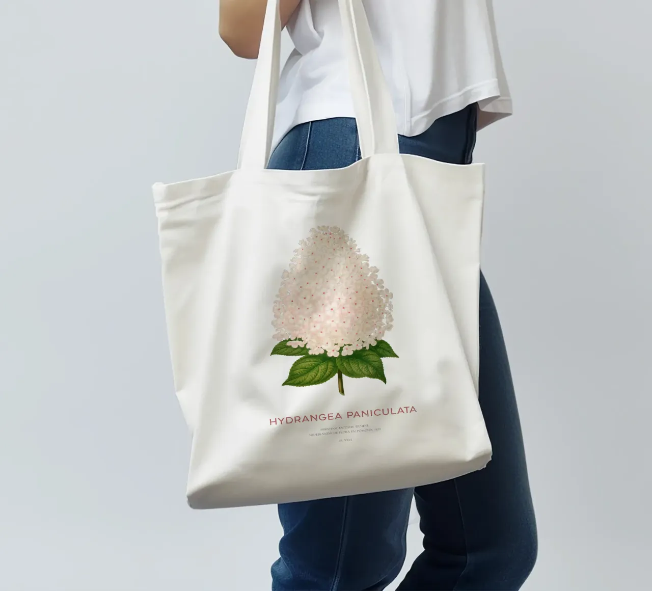 Panicled hydrangea or Hydrangea paniculata tote bag by Vintagrafica