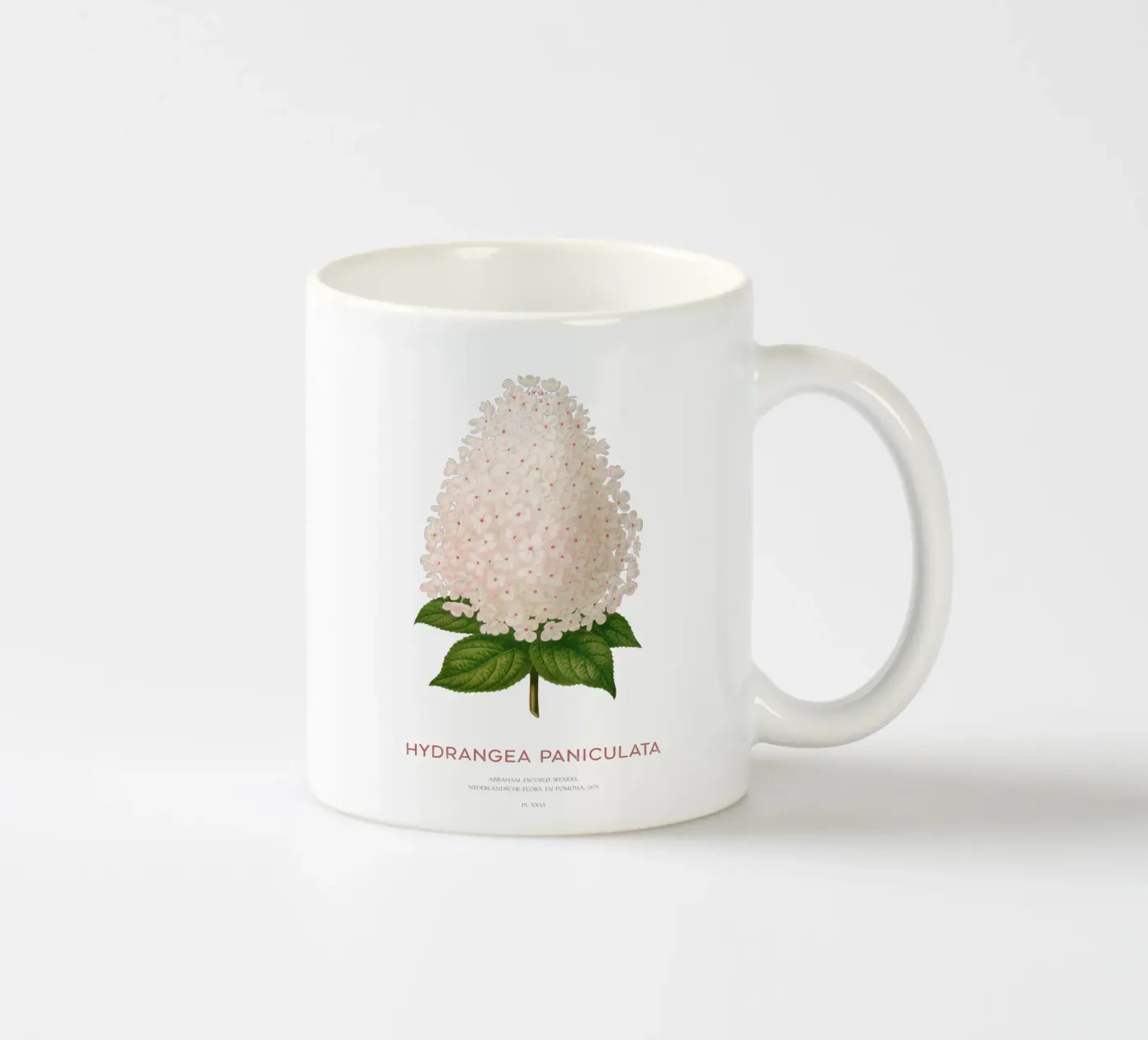 Panicled hydrangea or Hydrangea paniculata ceramic mug by Vintagrafica