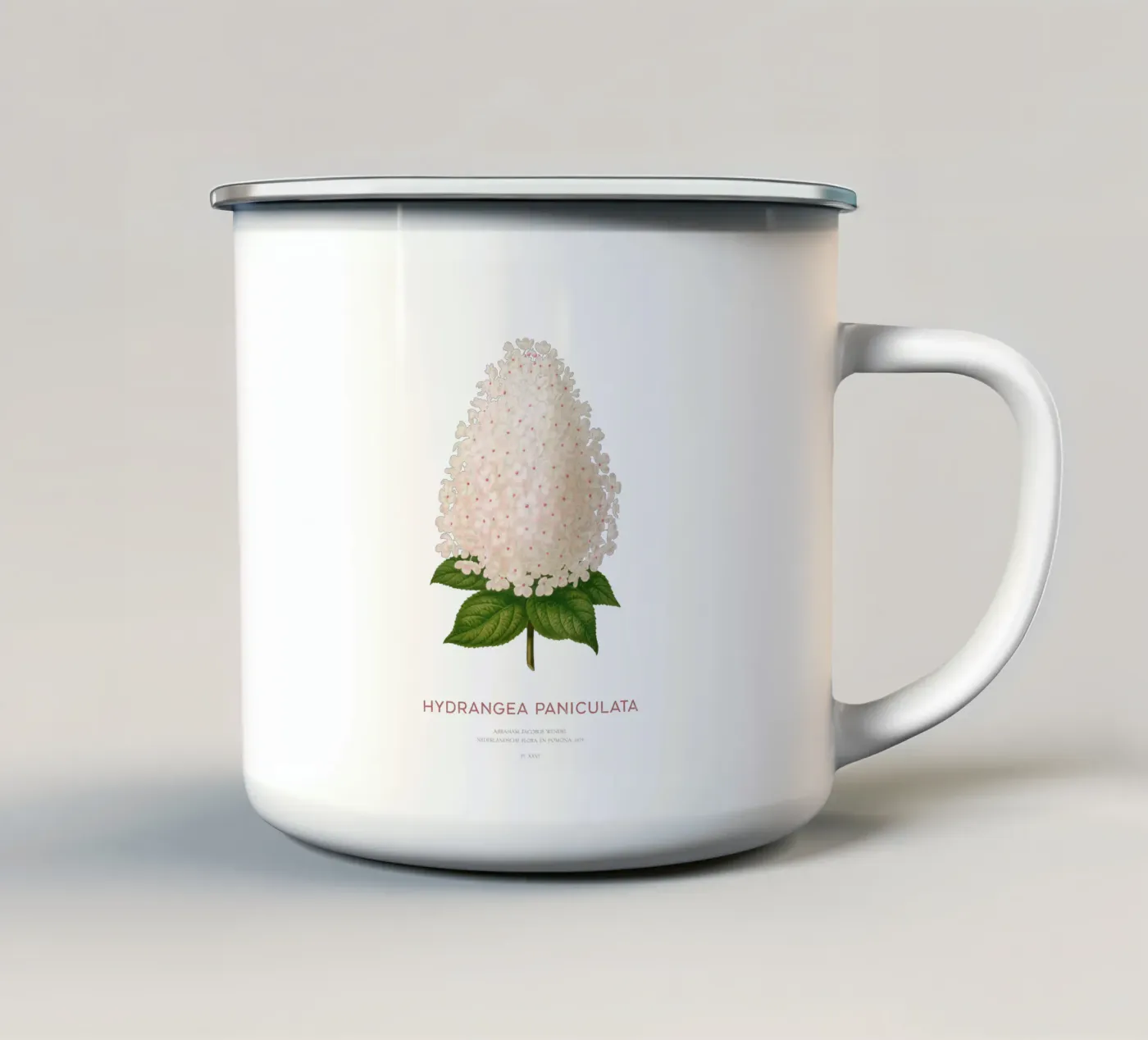 Panicled hydrangea or Hydrangea paniculata enamel mug by Vintagrafica