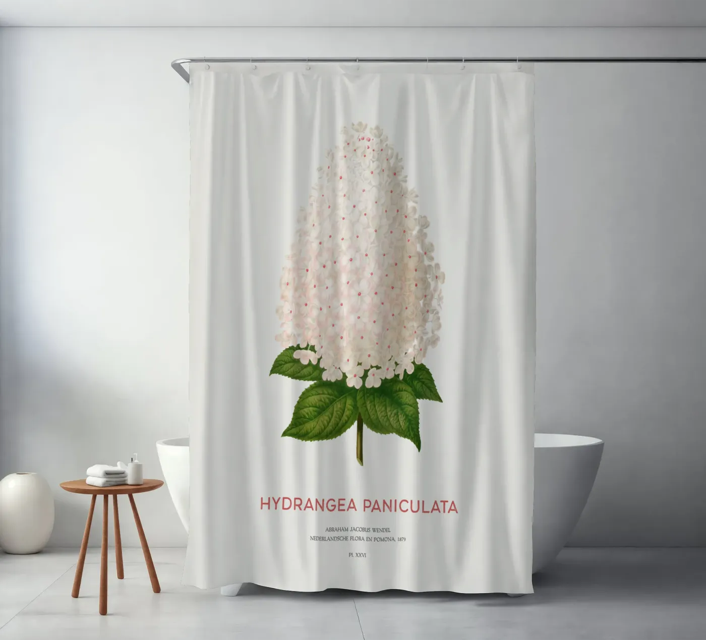 Hortensia paniculé ou Hydrangea paniculata rideau de douche de Vintagrafica