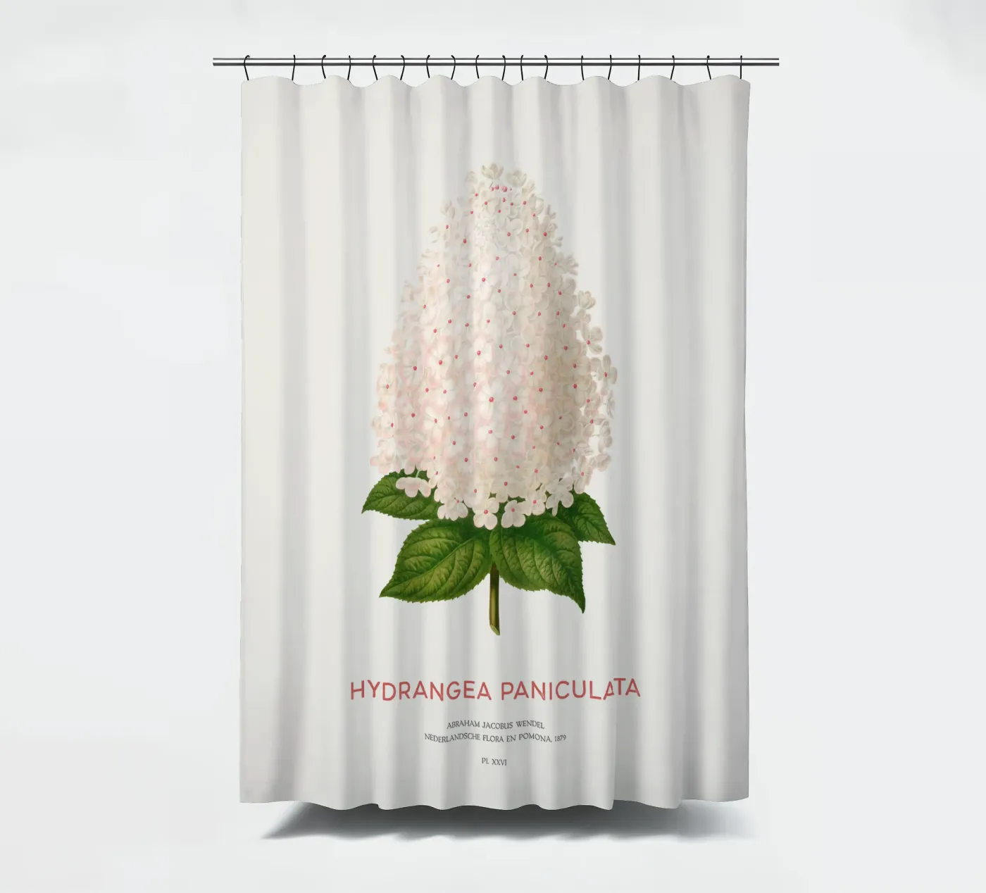 Panicled hydrangea or Hydrangea paniculata douchegordijn van Vintagrafica