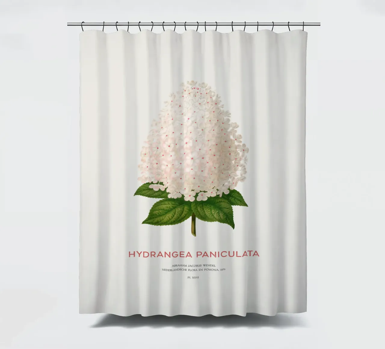 Paniekhortensia of Hydrangea paniculata douchegordijn van Vintagrafica