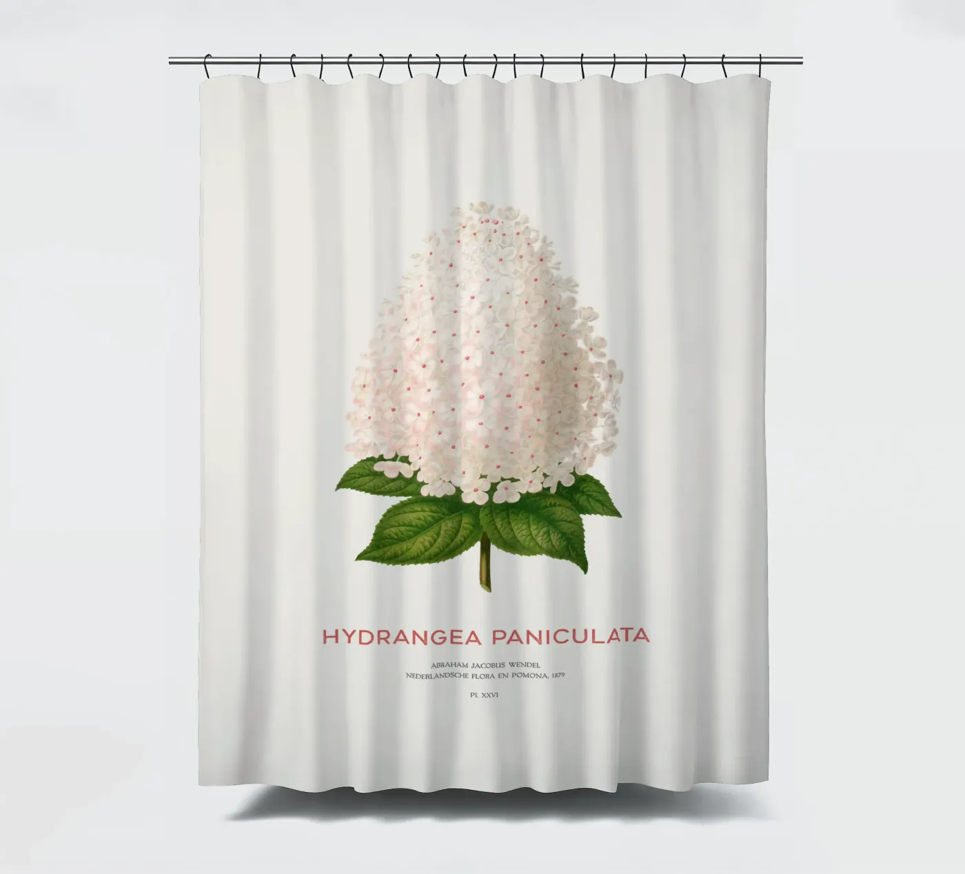 Panicled hydrangea or Hydrangea paniculata douchegordijn van Vintagrafica