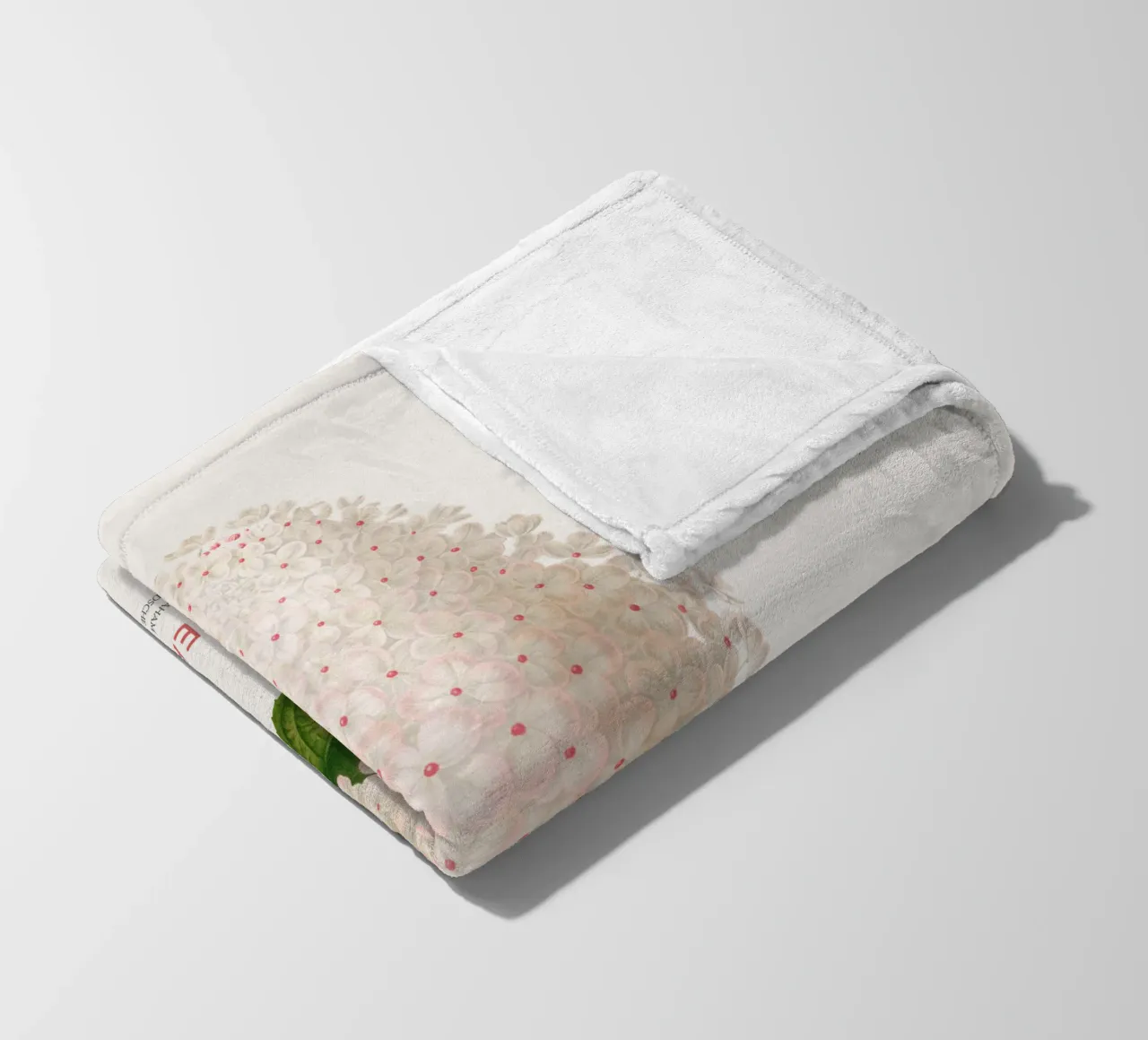 Ortensia paniculata o Hydrangea paniculata coperta in pile da Vintagrafica