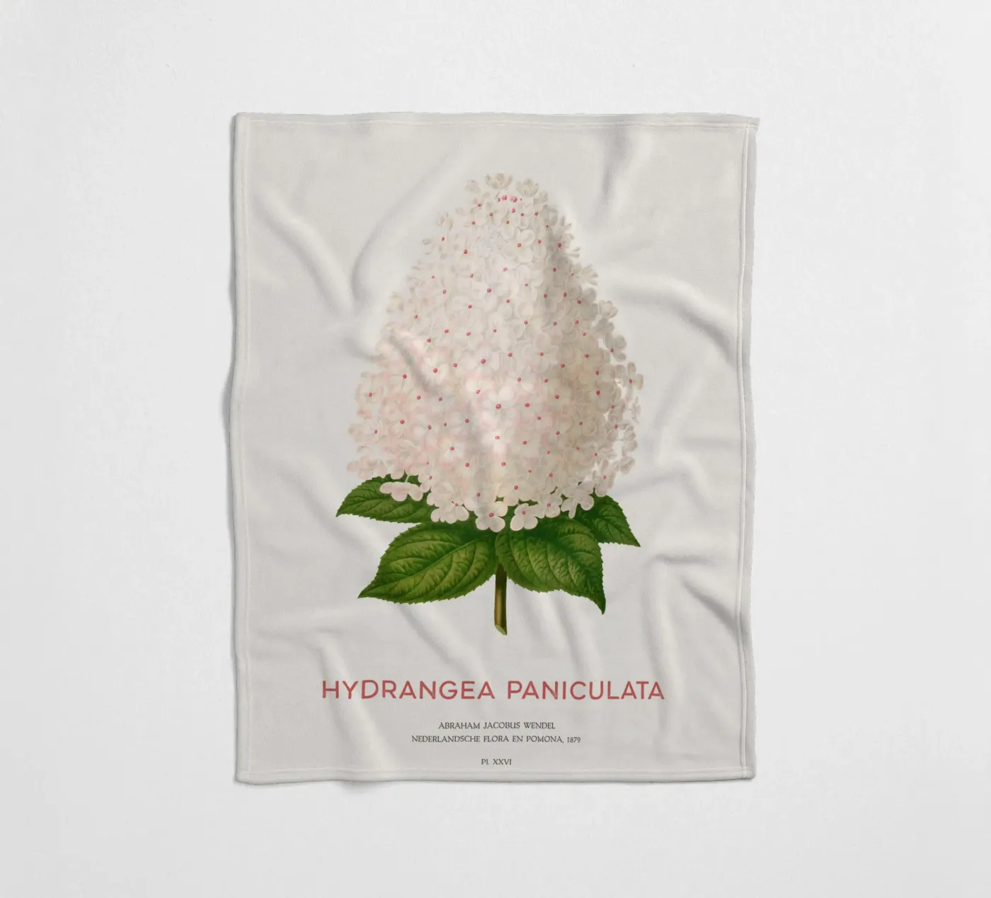 Panicled hydrangea or Hydrangea paniculata Fleecedecke von Vintagrafica