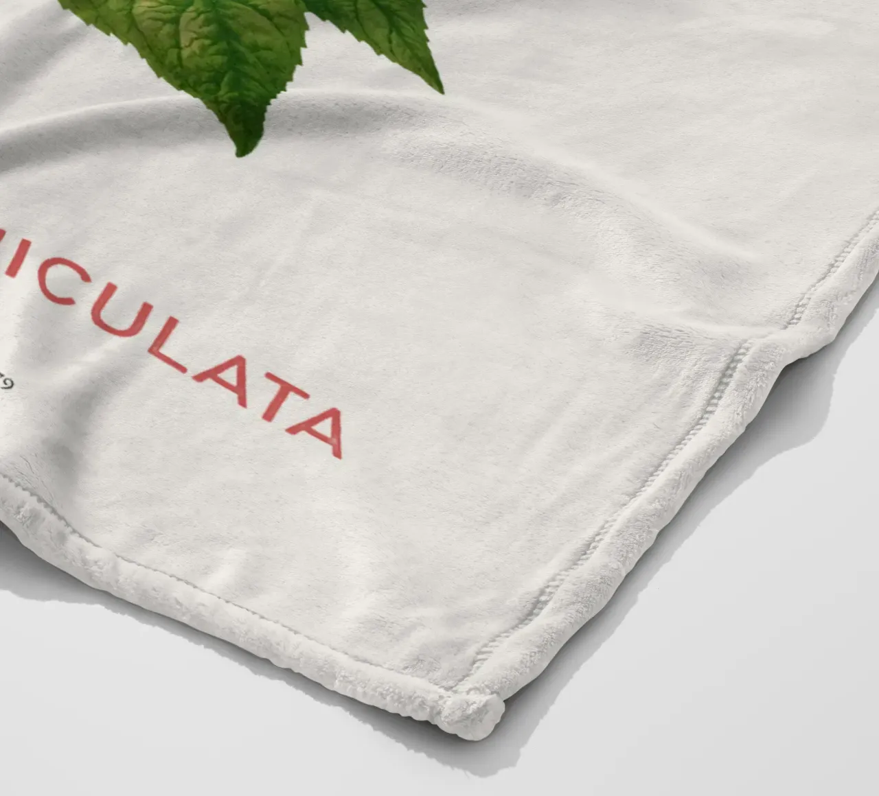 Ortensia paniculata o Hydrangea paniculata coperta in pile da Vintagrafica