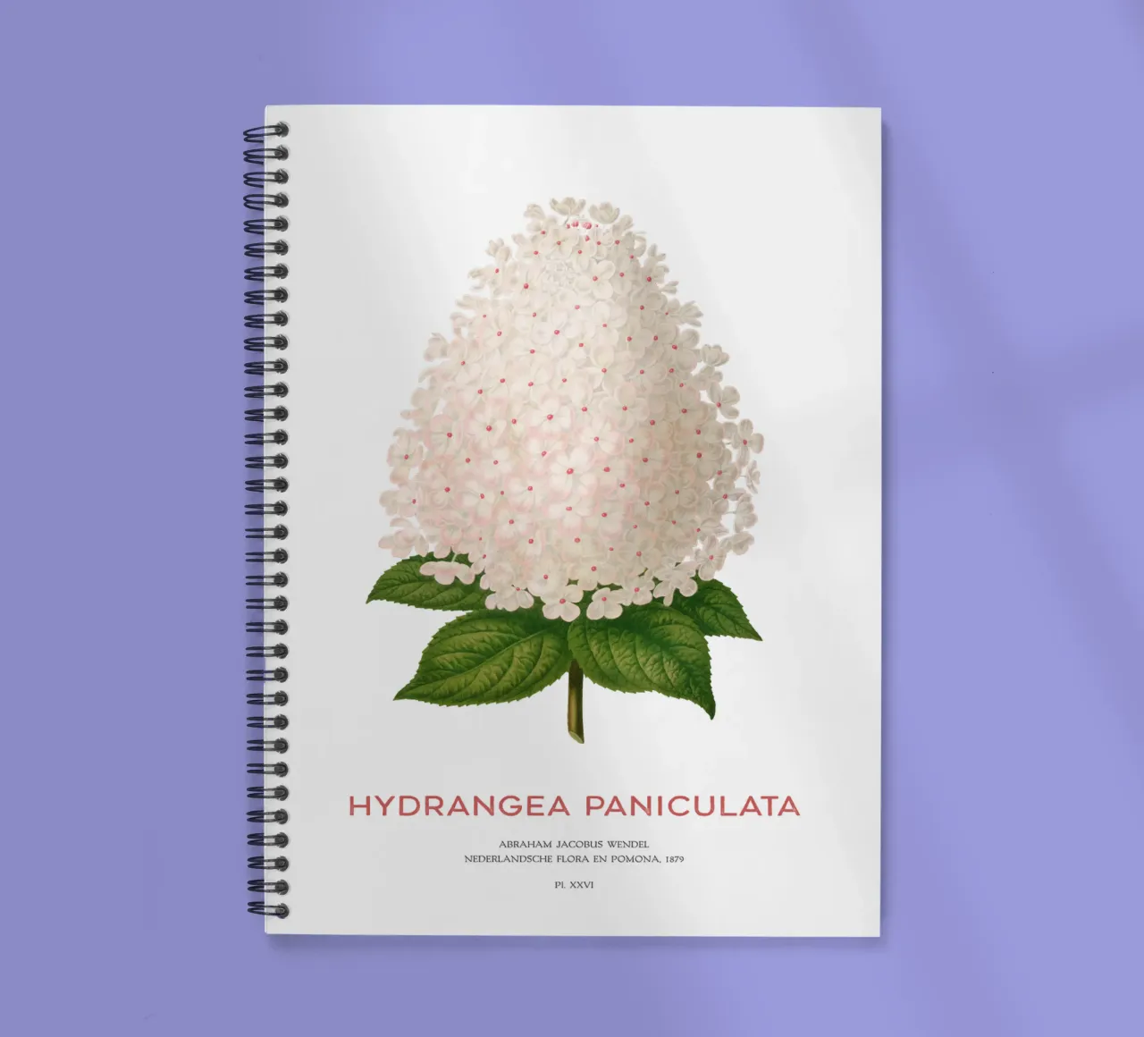Panicled hydrangea or Hydrangea paniculata spiral notebook by Vintagrafica