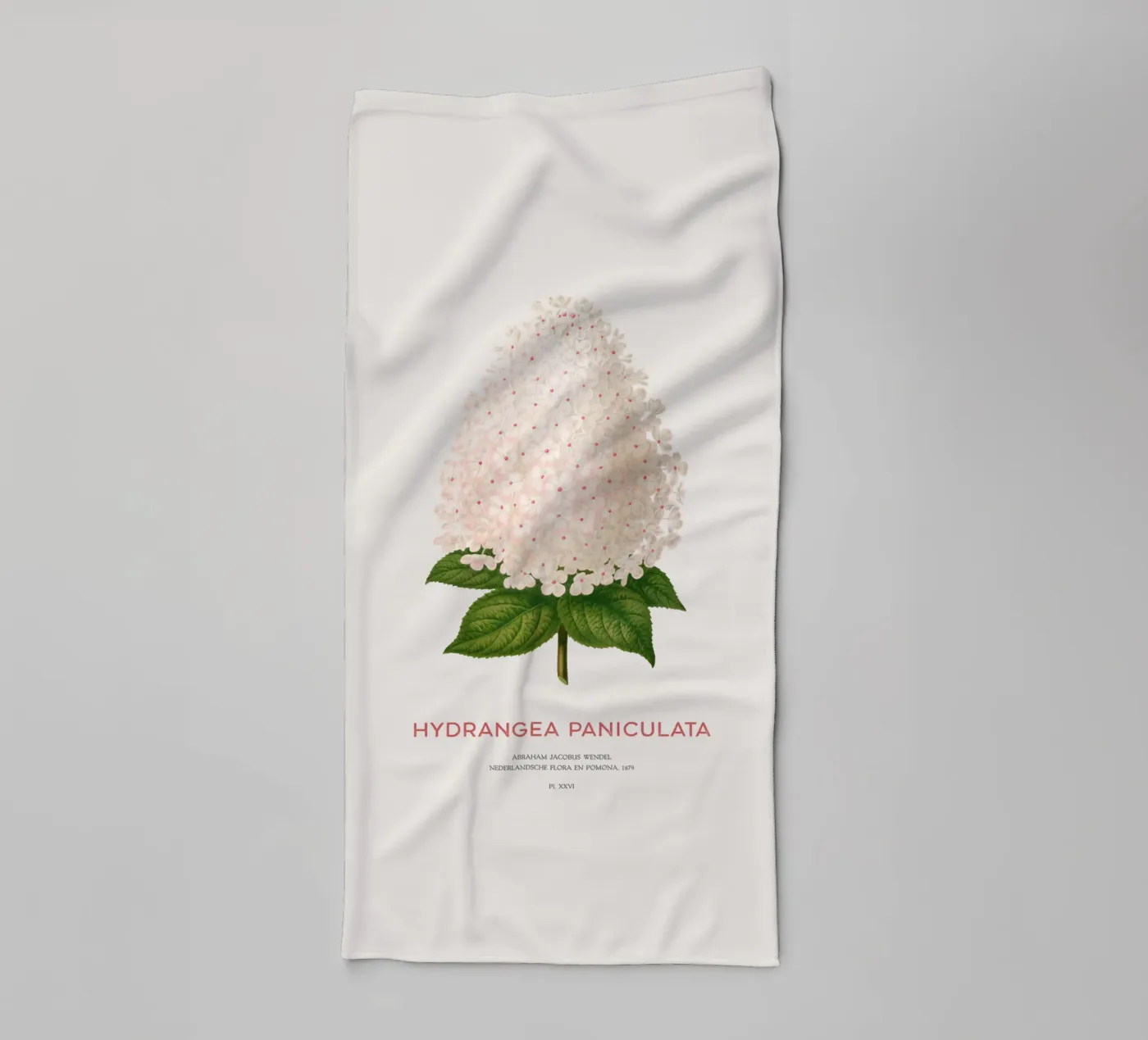 Panik-Hortensie oder Hydrangea paniculata Handtuch von Vintagrafica