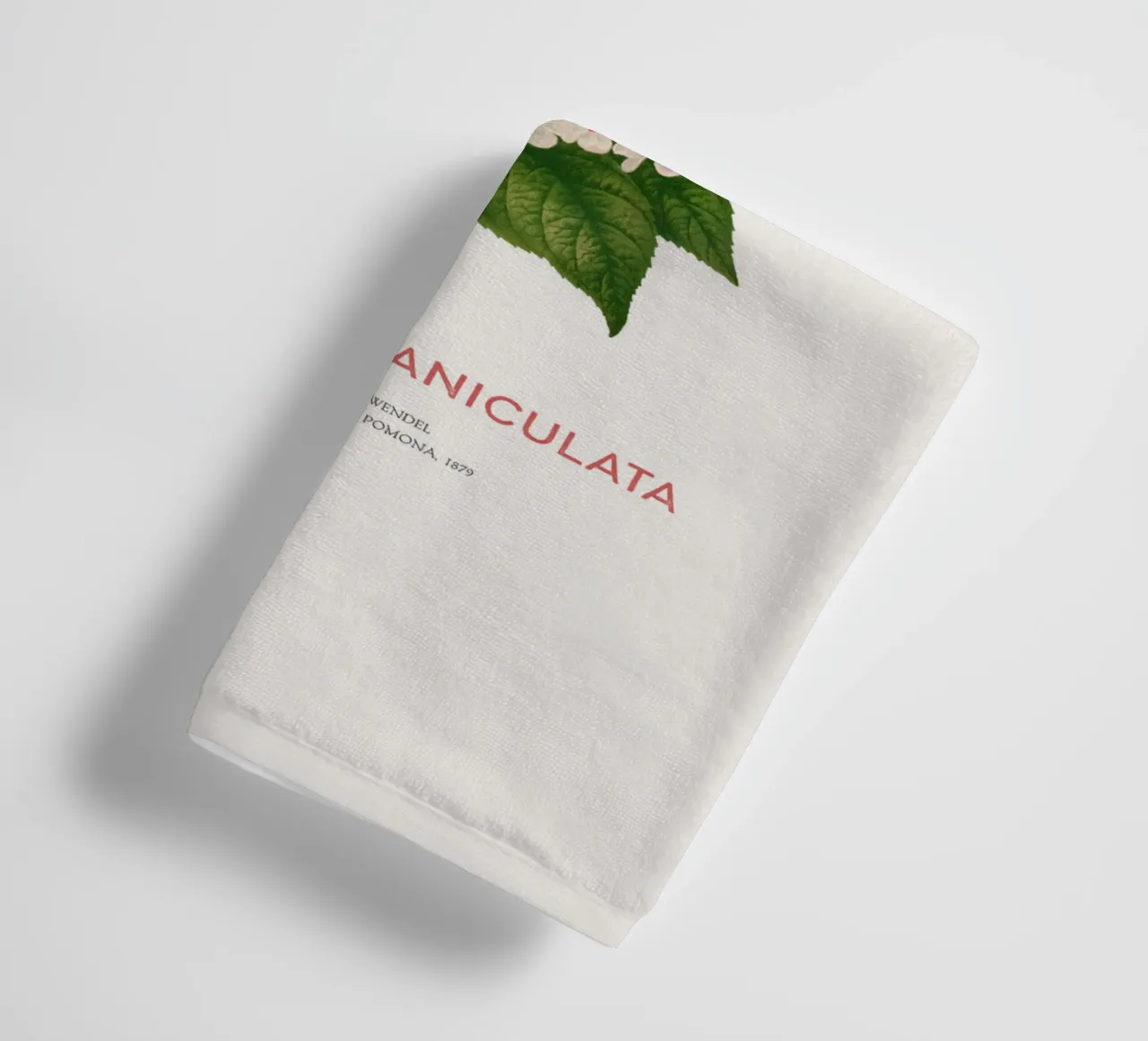 Panicled hydrangea or Hydrangea paniculata towel by Vintagrafica