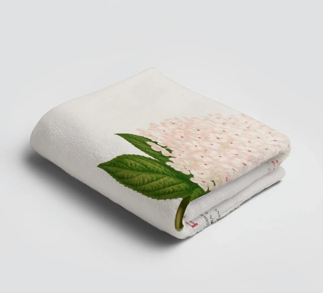 Panicled hydrangea or Hydrangea paniculata towel by Vintagrafica