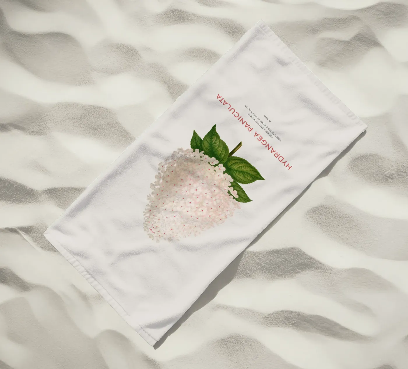 Panicled hydrangea or Hydrangea paniculata serviette de plage de Vintagrafica