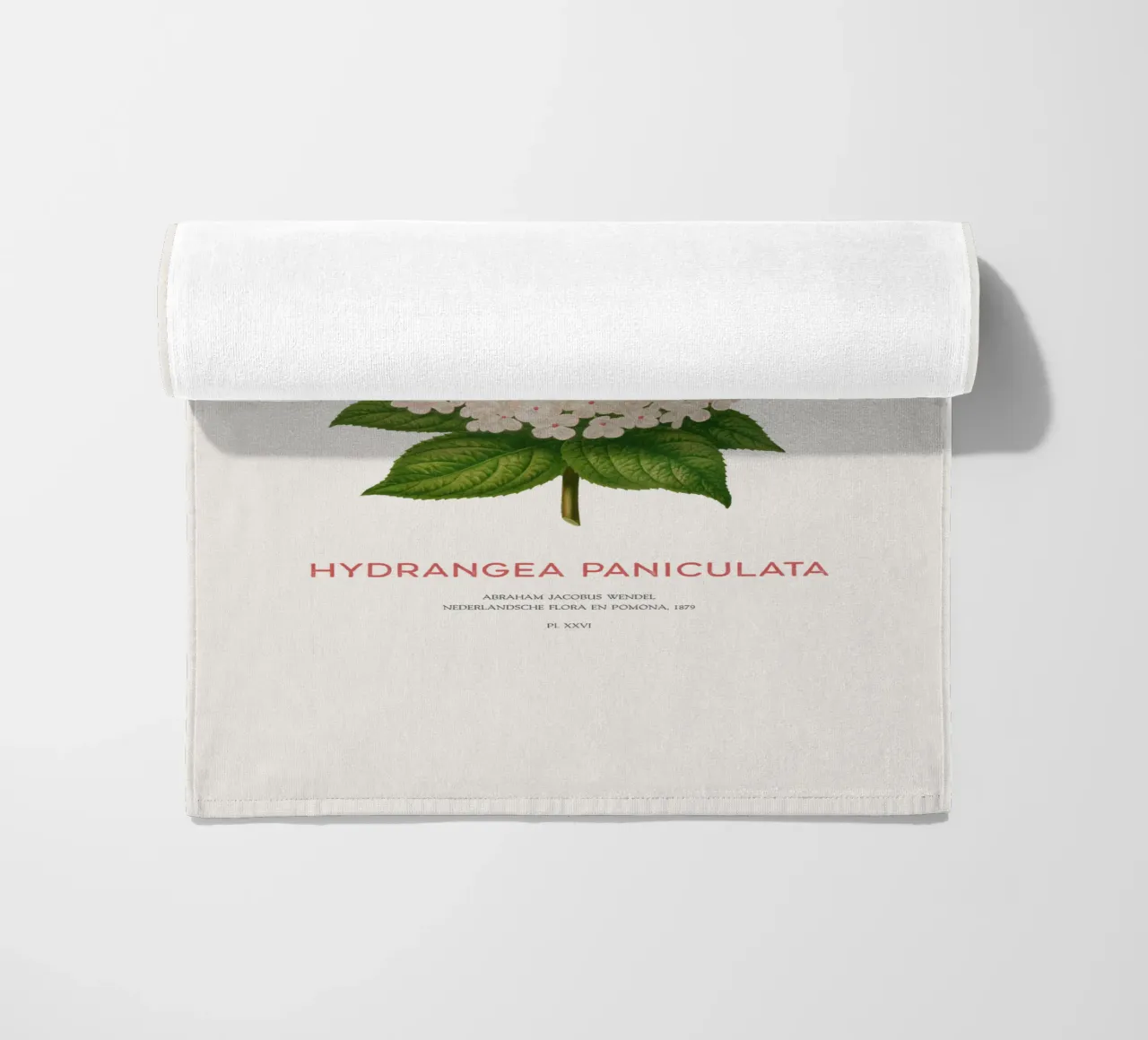 Panicled hydrangea or Hydrangea paniculata beach towel by Vintagrafica