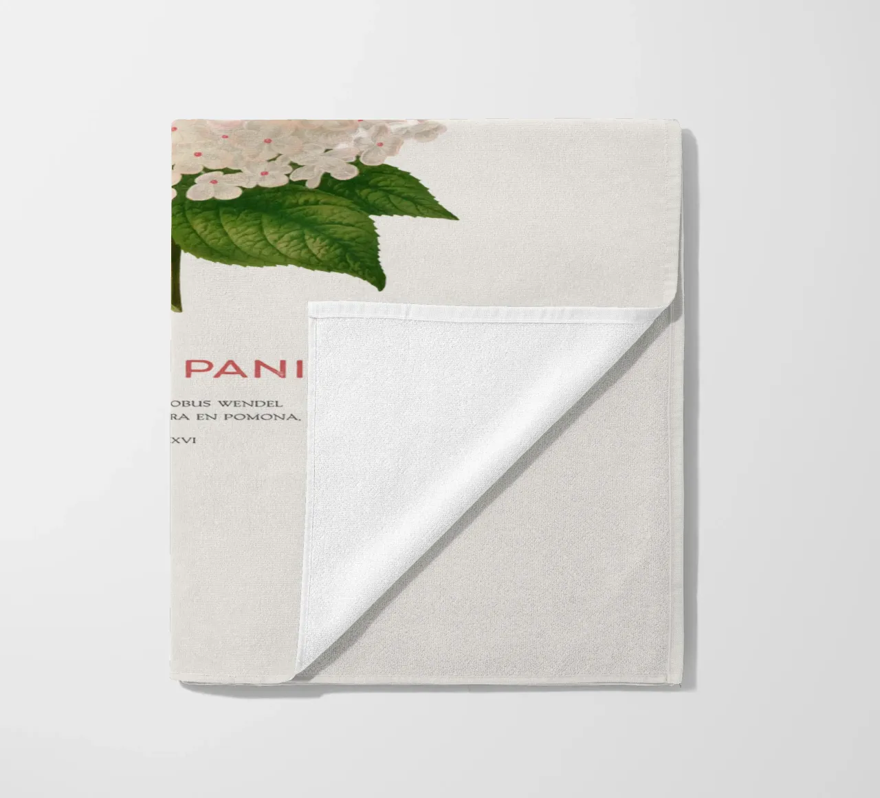 Panicled hydrangea or Hydrangea paniculata beach towel by Vintagrafica