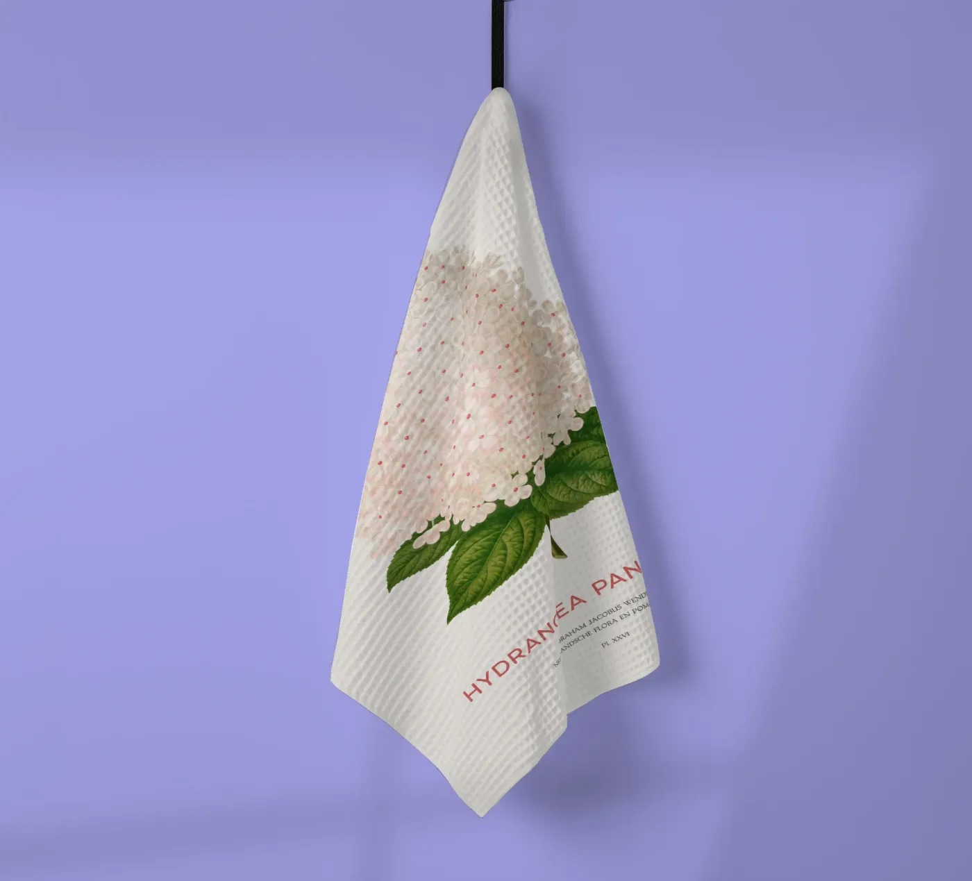 Panicled hydrangea or Hydrangea paniculata tea towel by Vintagrafica