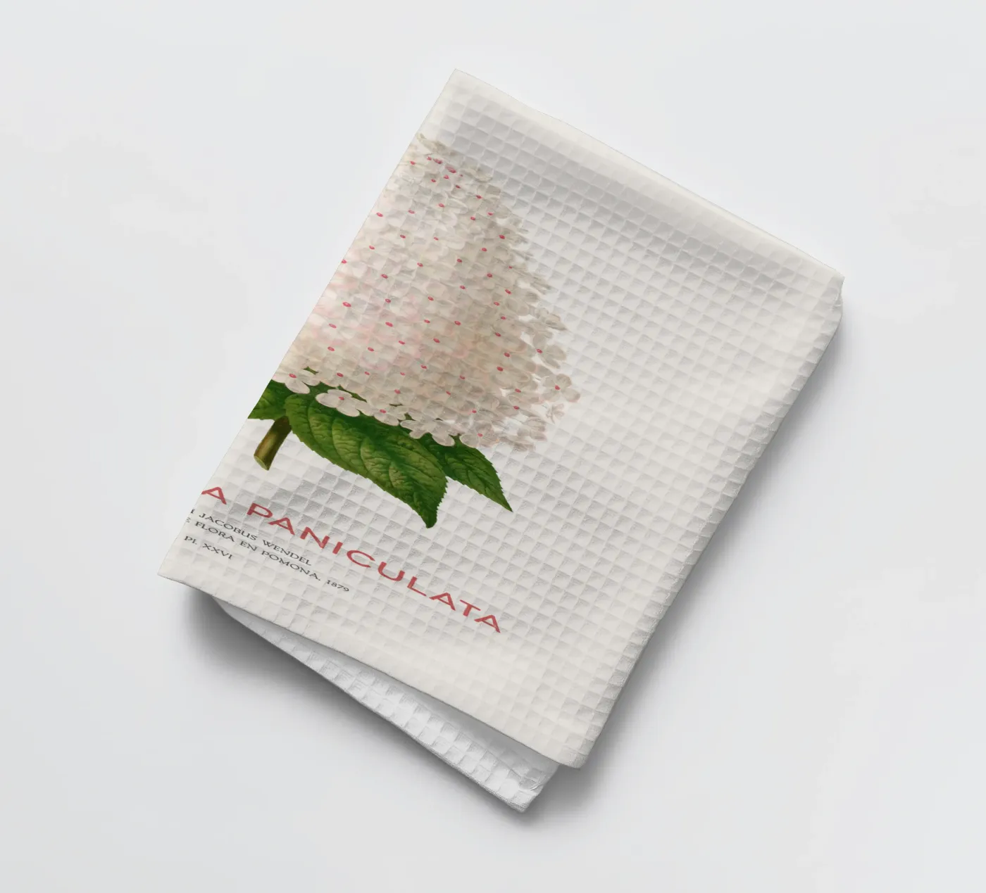 Panicled hydrangea or Hydrangea paniculata tea towel by Vintagrafica