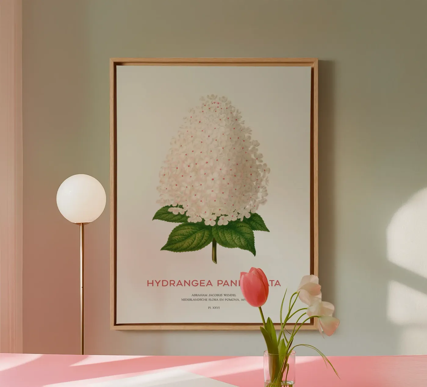 Panicled hydrangea or Hydrangea paniculata tela da Vintagrafica