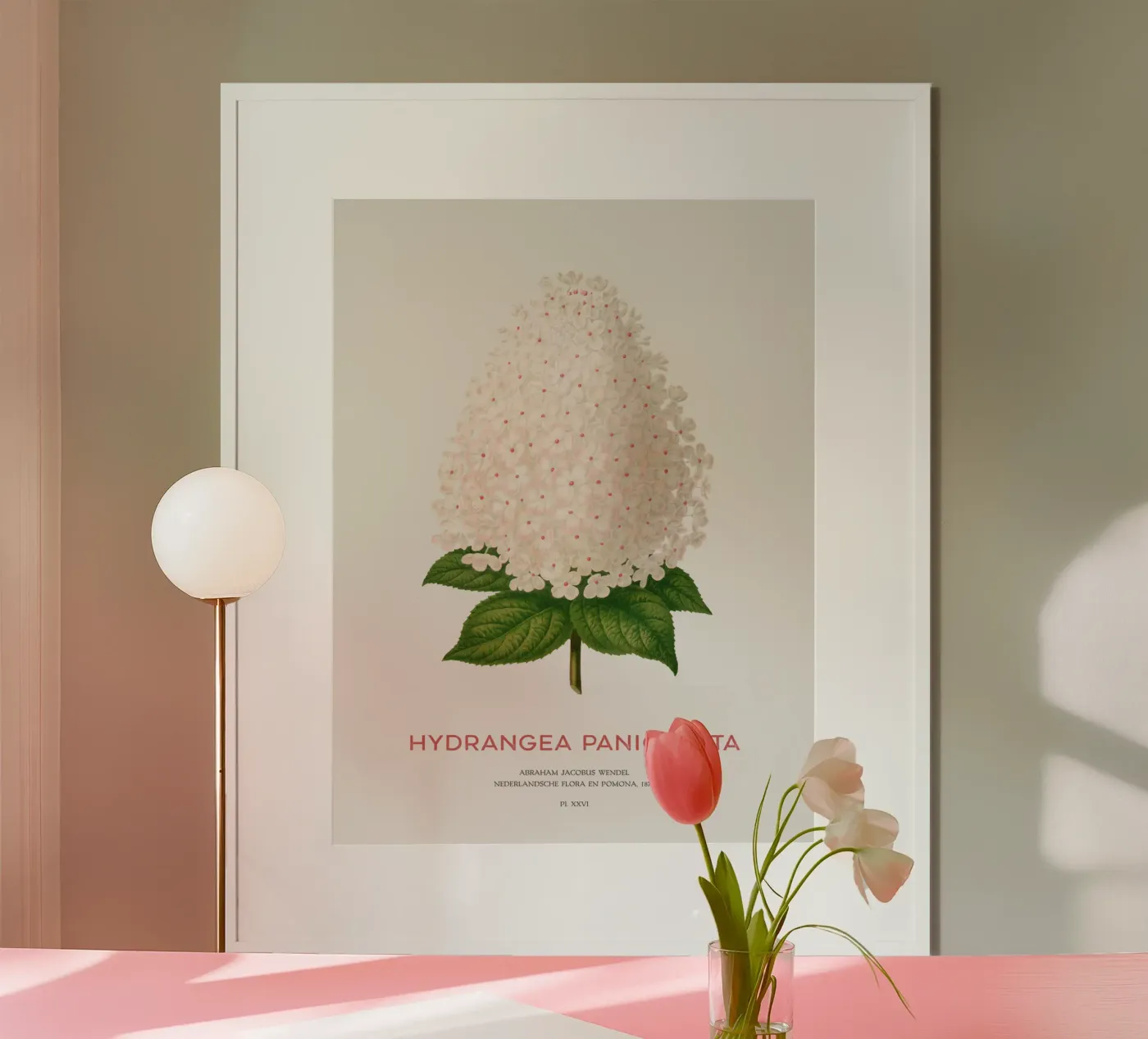 Panicled hydrangea or Hydrangea paniculata poster da Vintagrafica