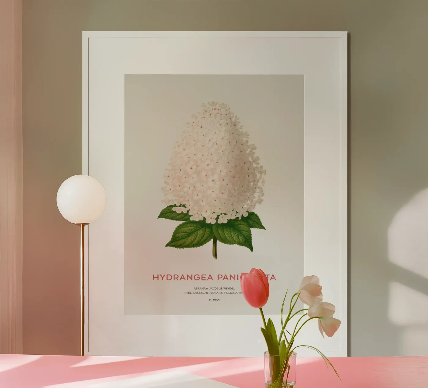 Panicled hydrangea or Hydrangea paniculata poster by Vintagrafica