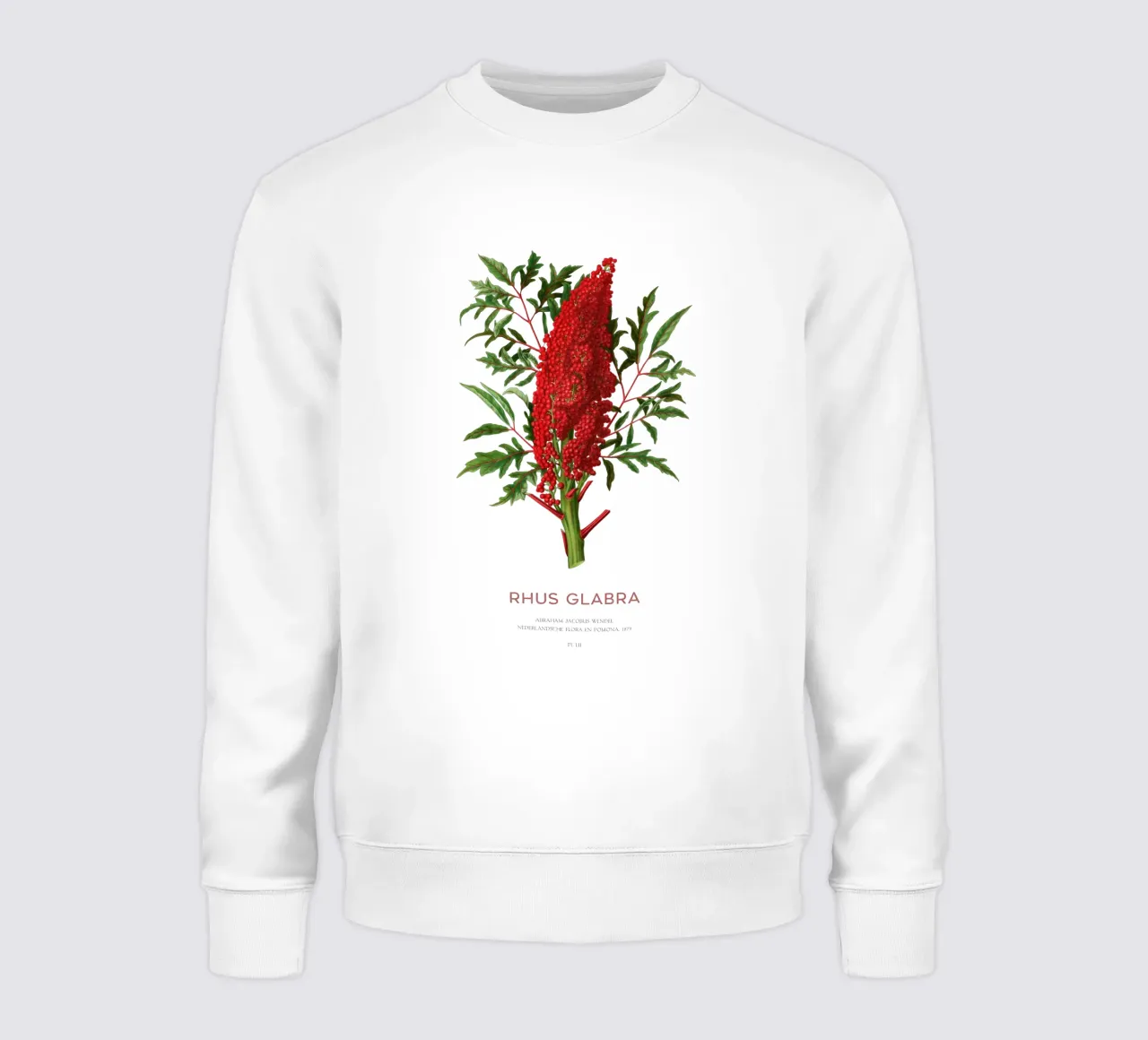 Glatter Sumach oder Rhus glabra Sweatshirt von Vintagrafica
