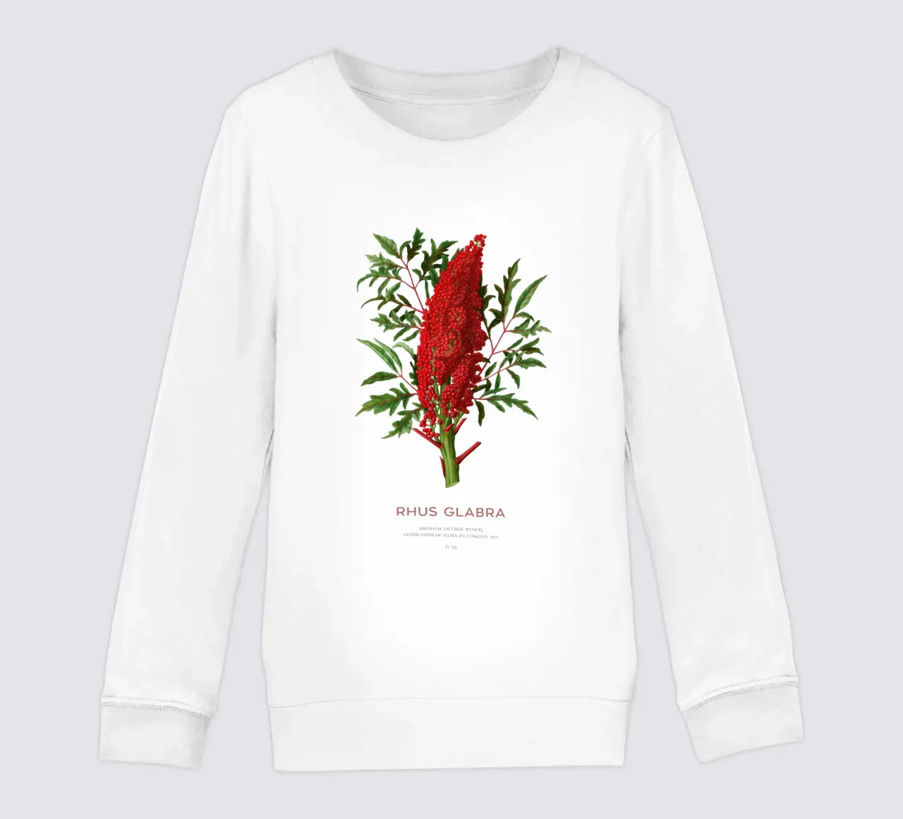 Glatter Sumach oder Rhus glabra Kinder Sweatshirt von Vintagrafica