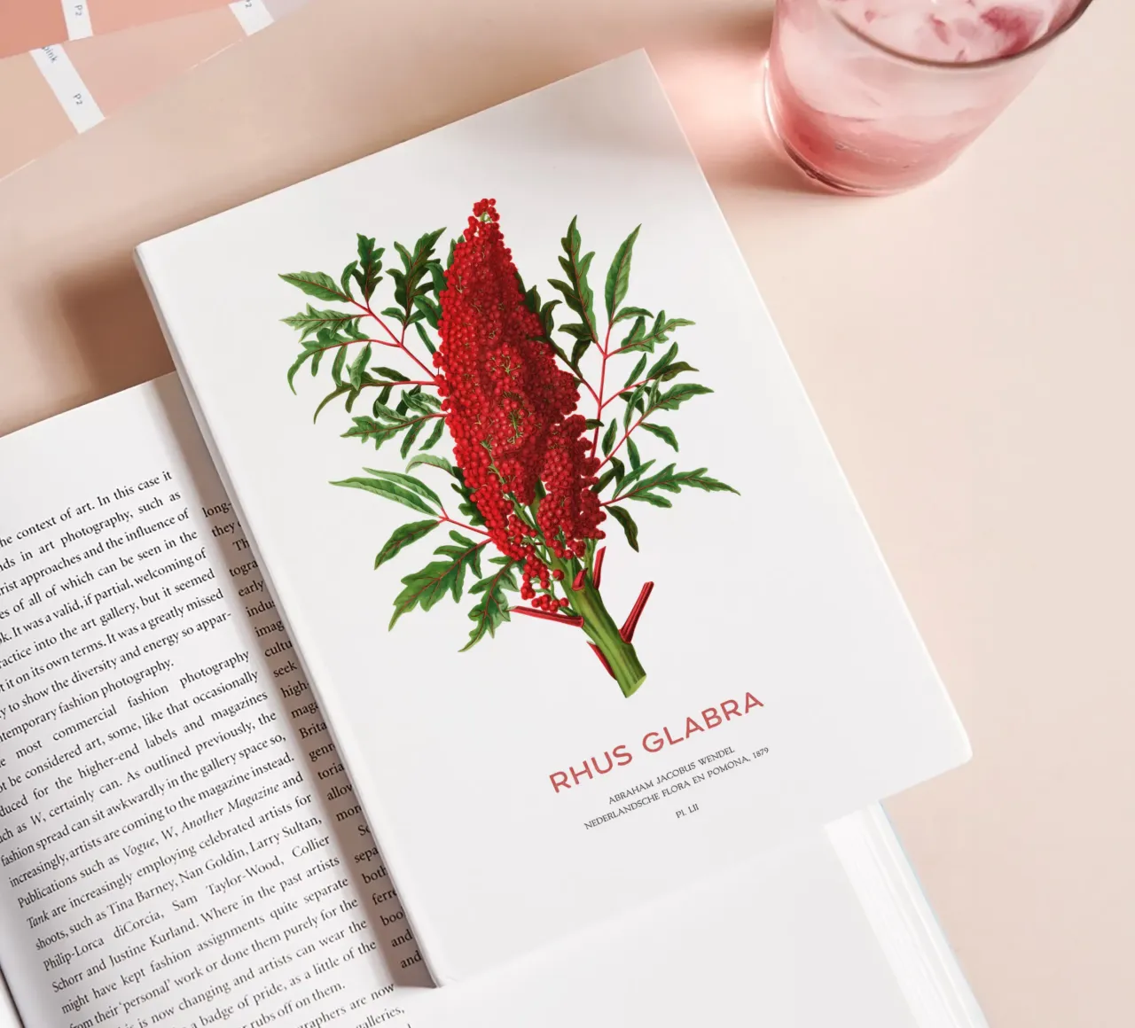 Smooth sumac or Rhus glabra notebook by Vintagrafica