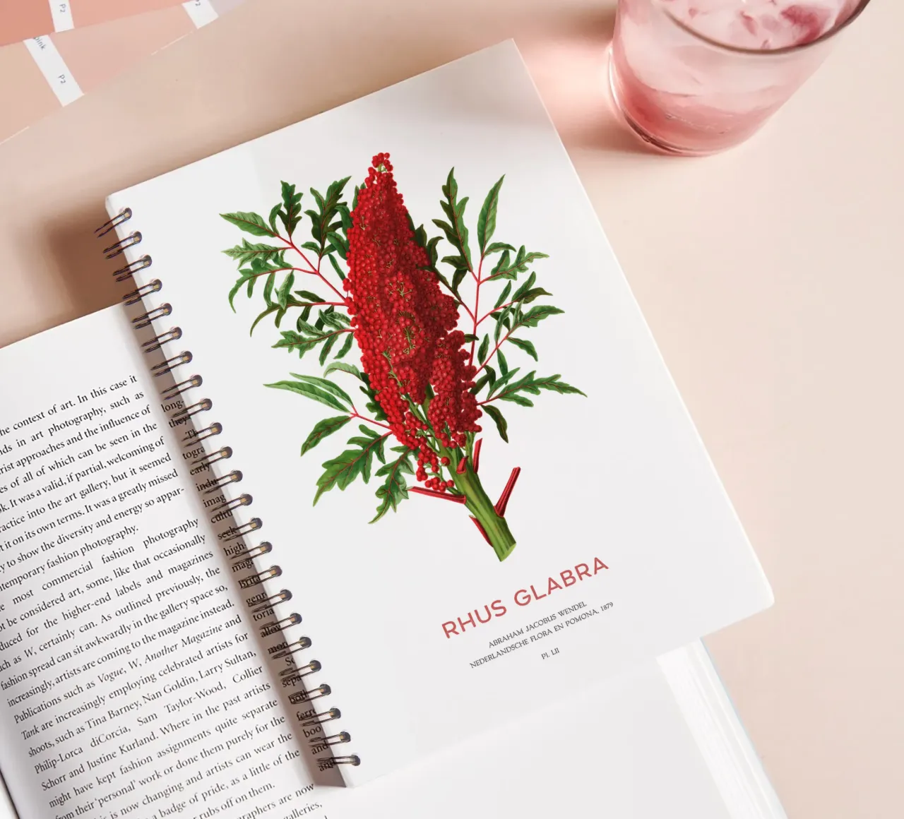 Smooth sumac or Rhus glabra spiral notebook by Vintagrafica