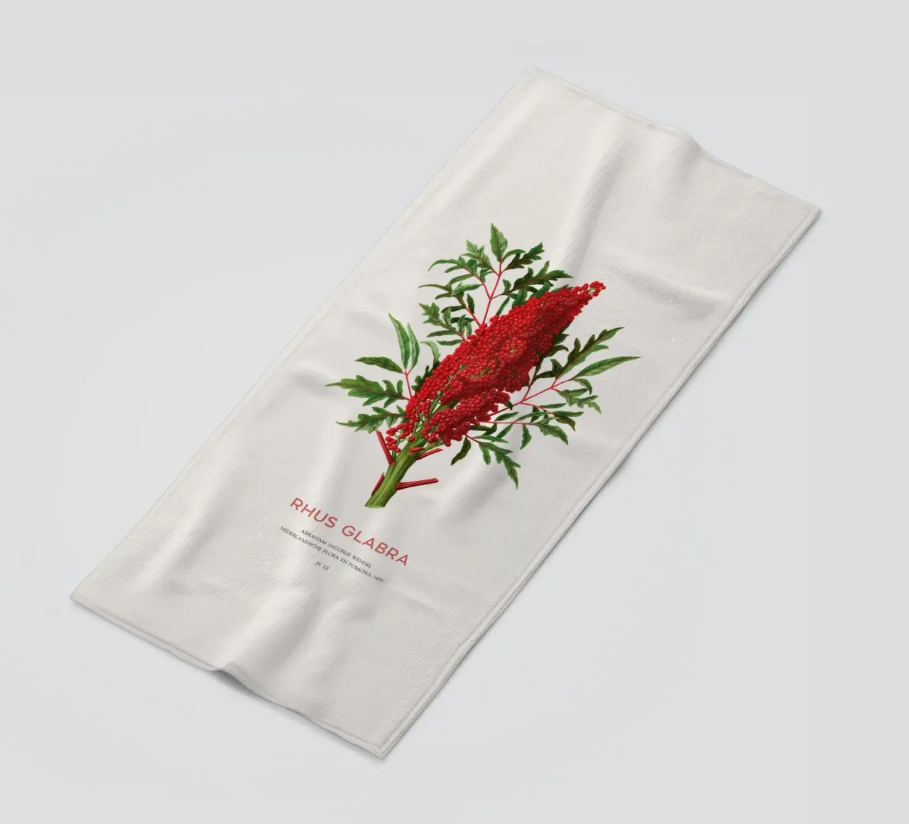 Glatter Sumach oder Rhus glabra Strandtuch von Vintagrafica